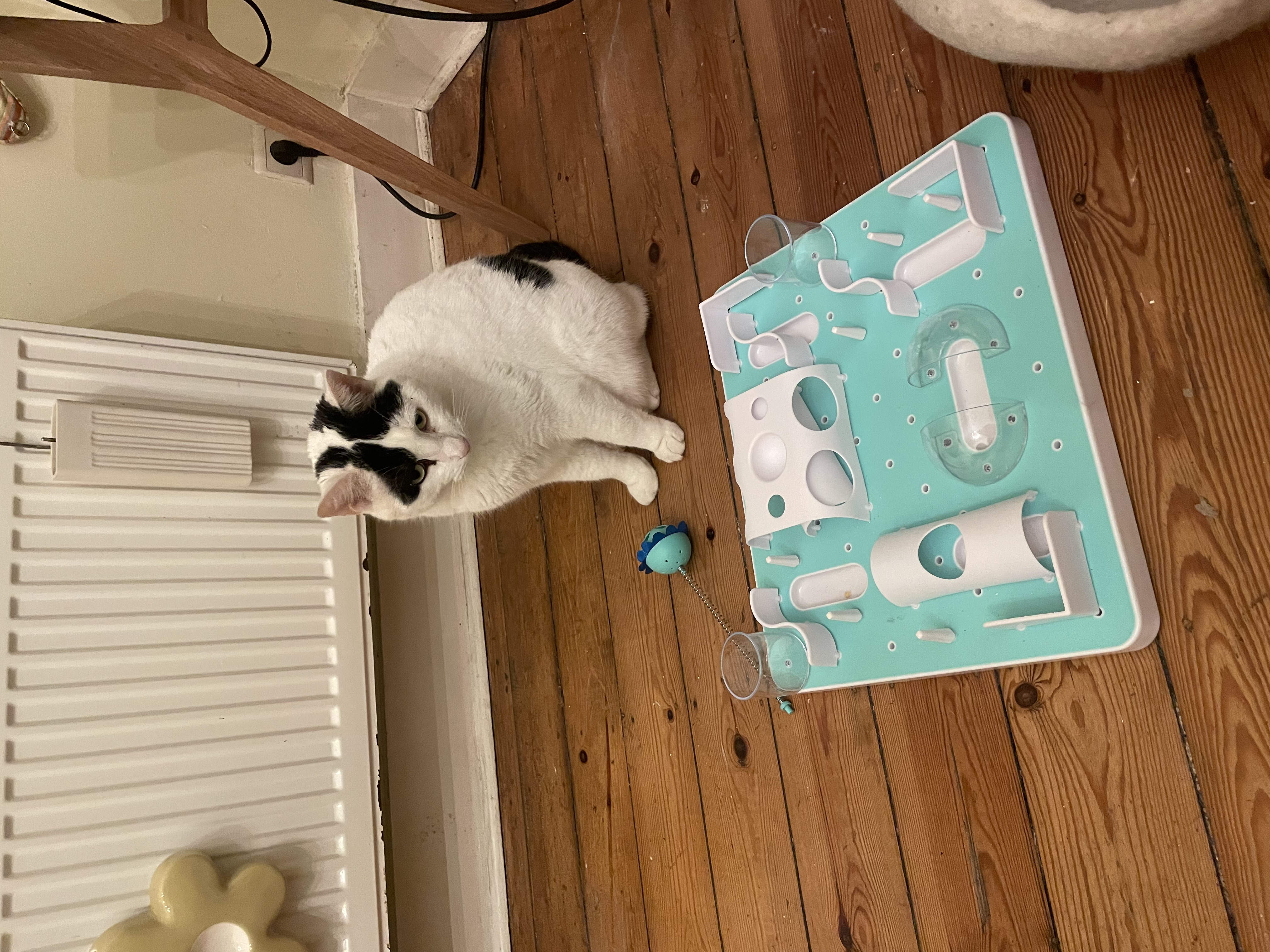 image-2