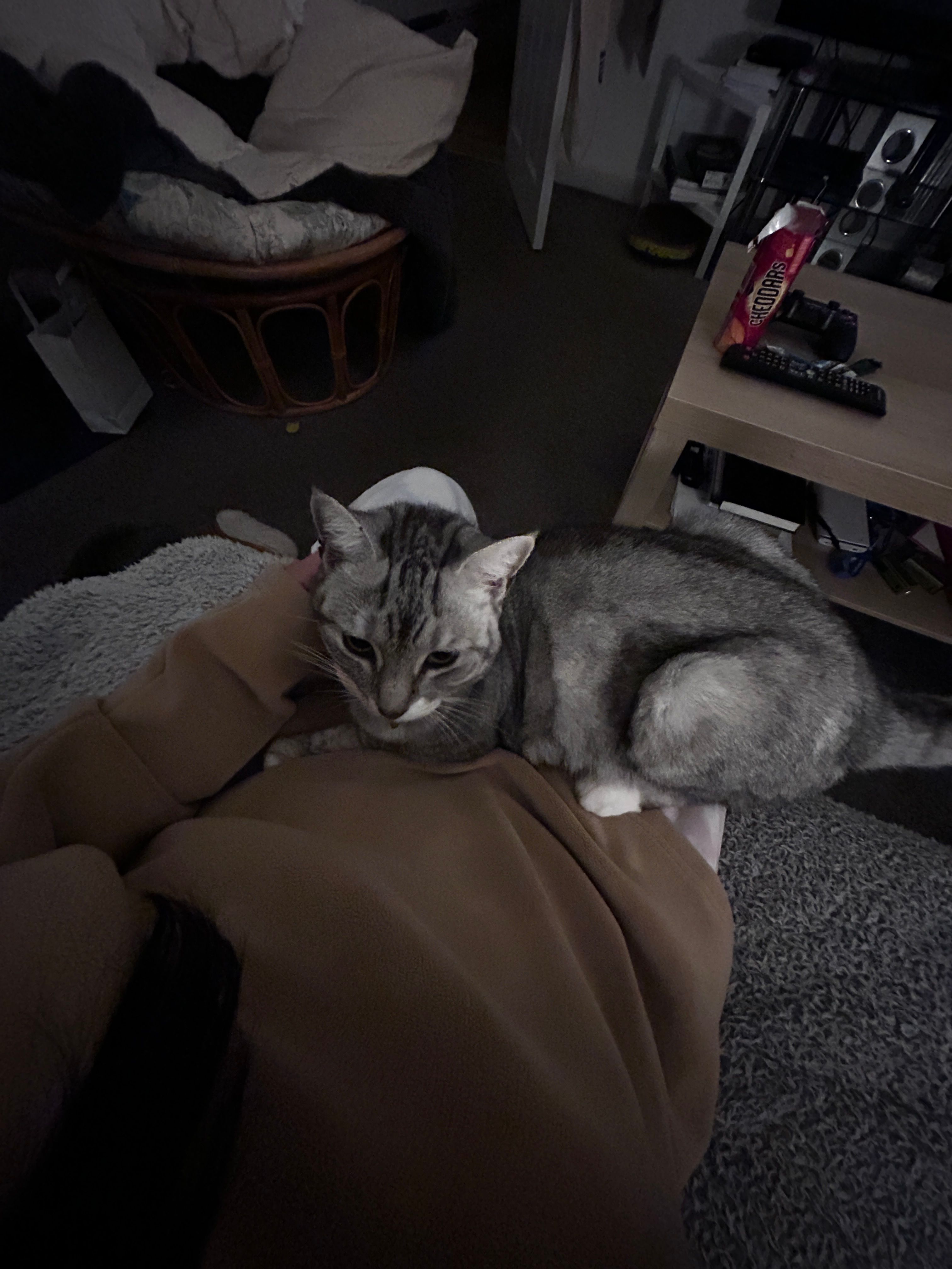 image-6