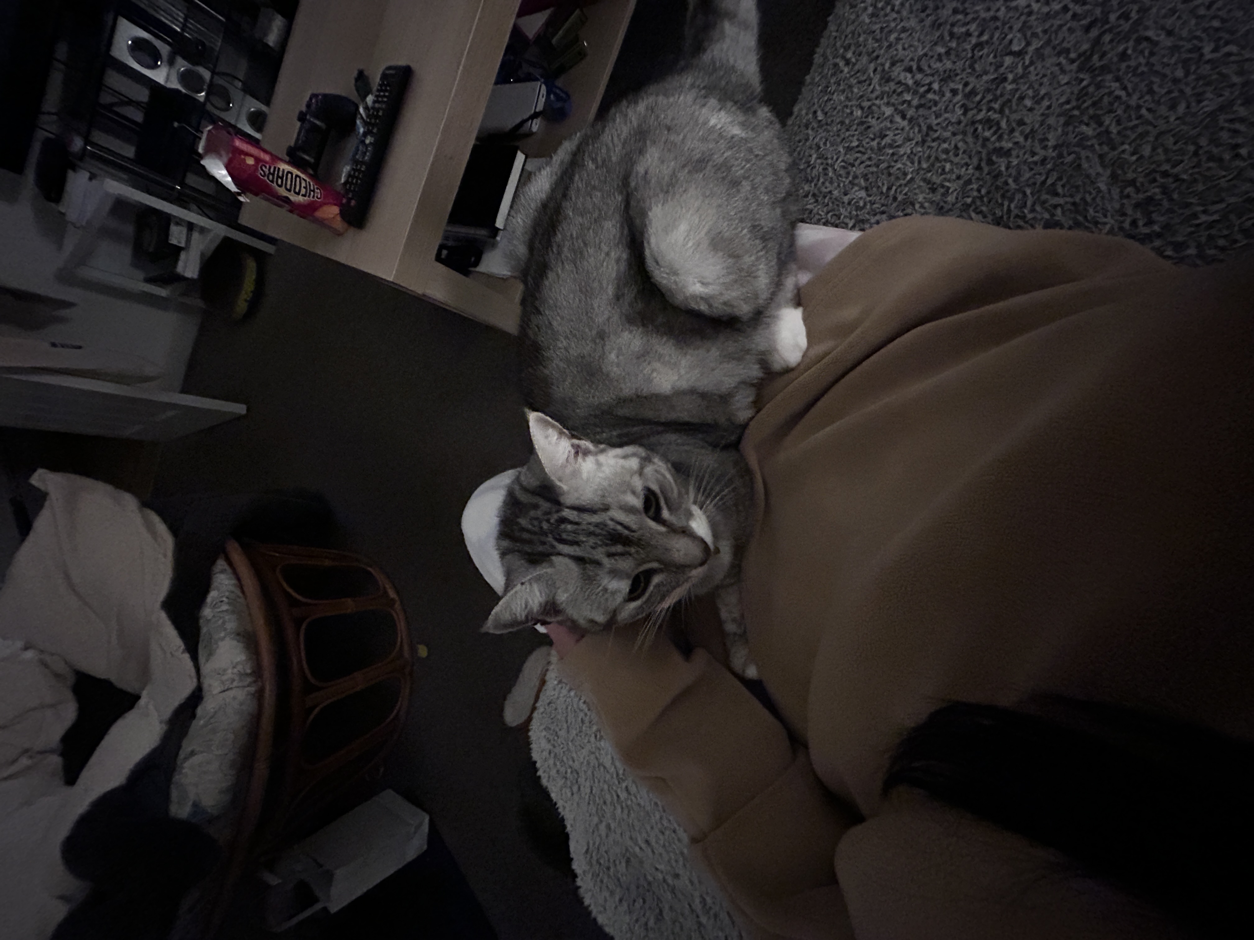 image-7
