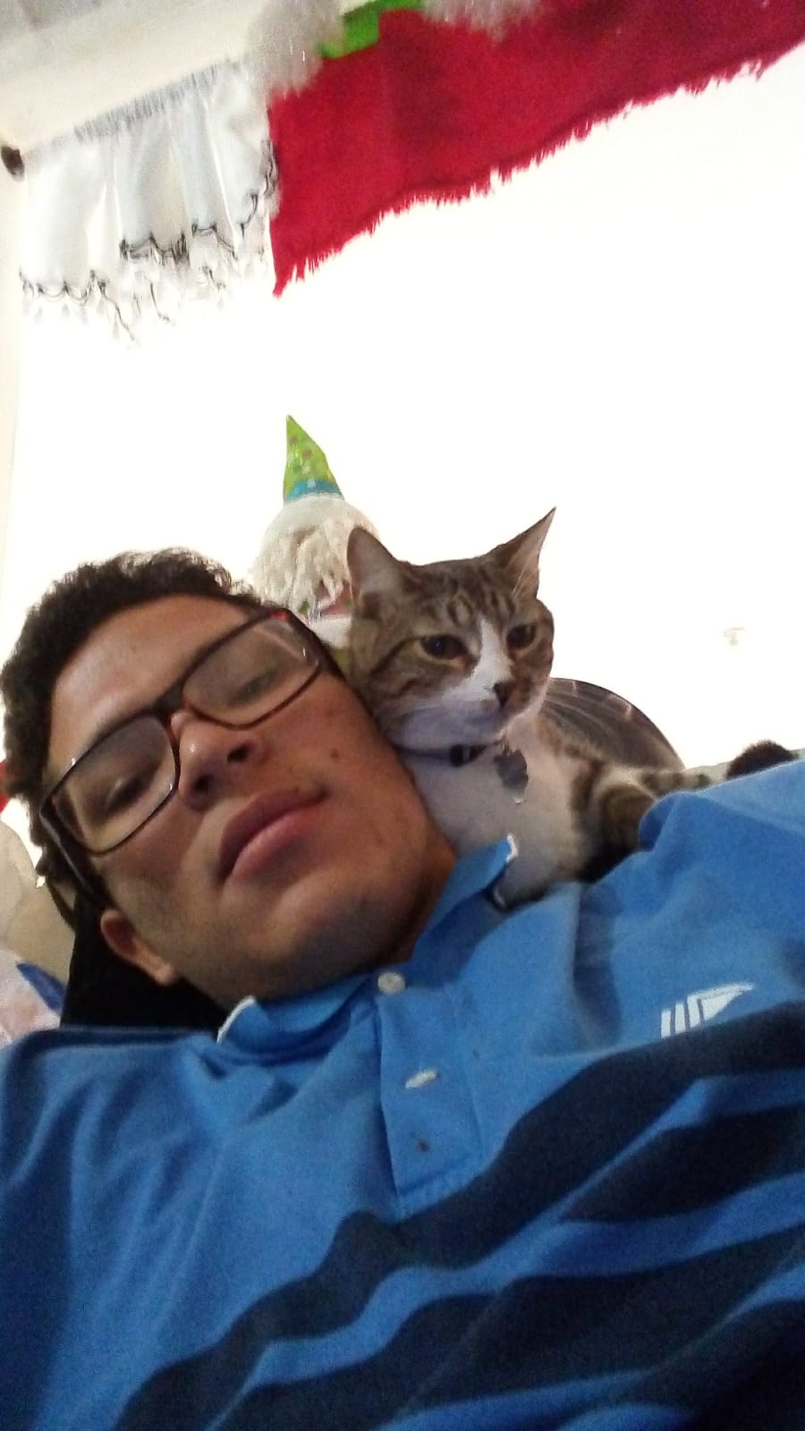 image-6