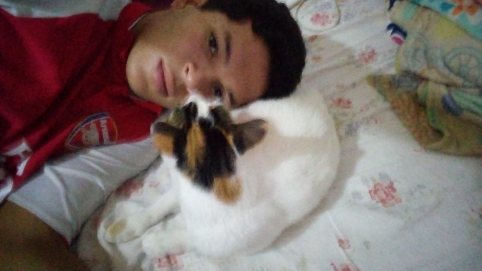 image-3