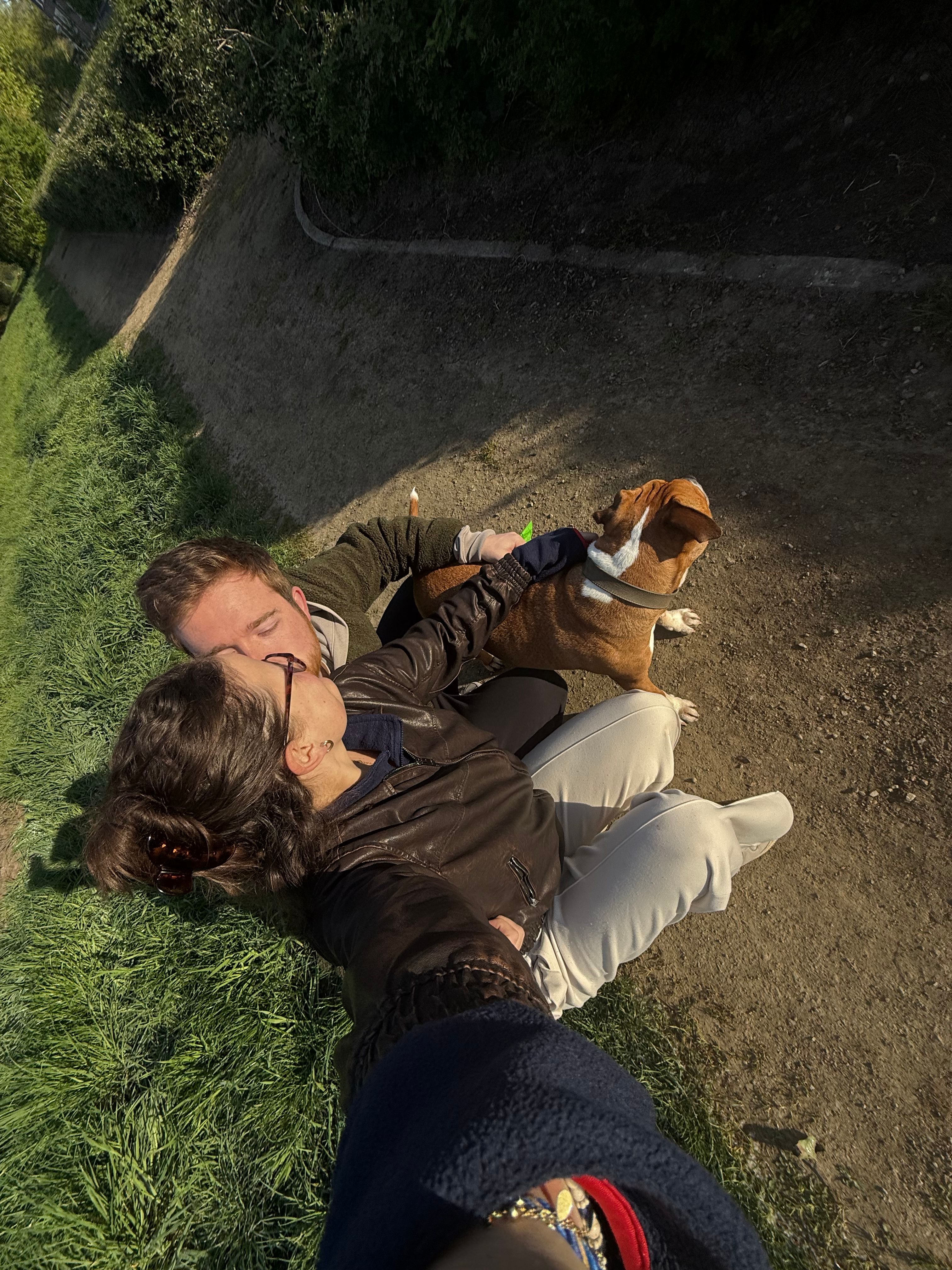image-7