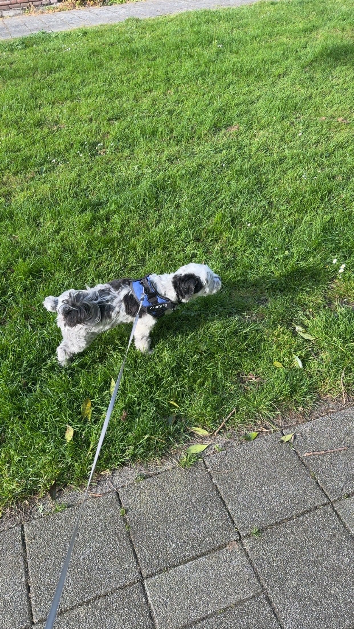 image-13