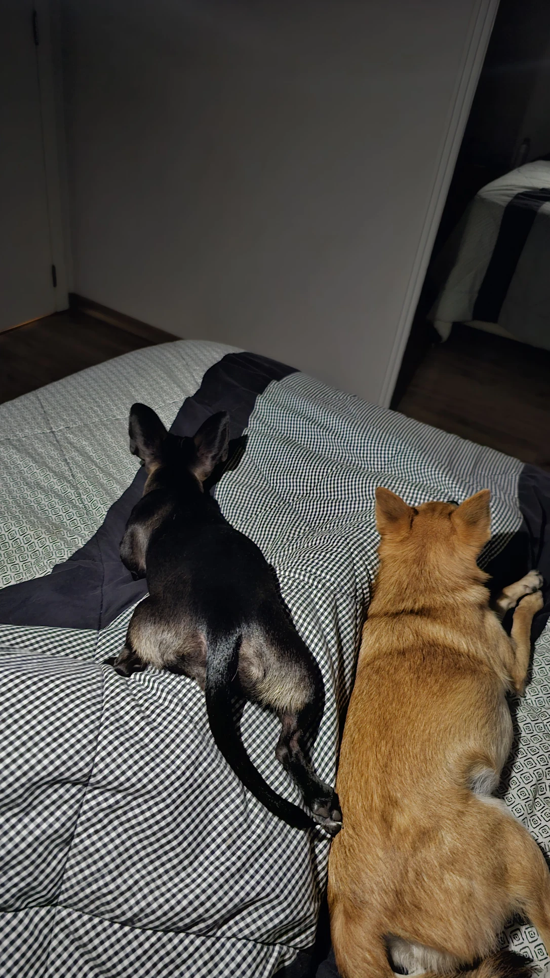 image-8