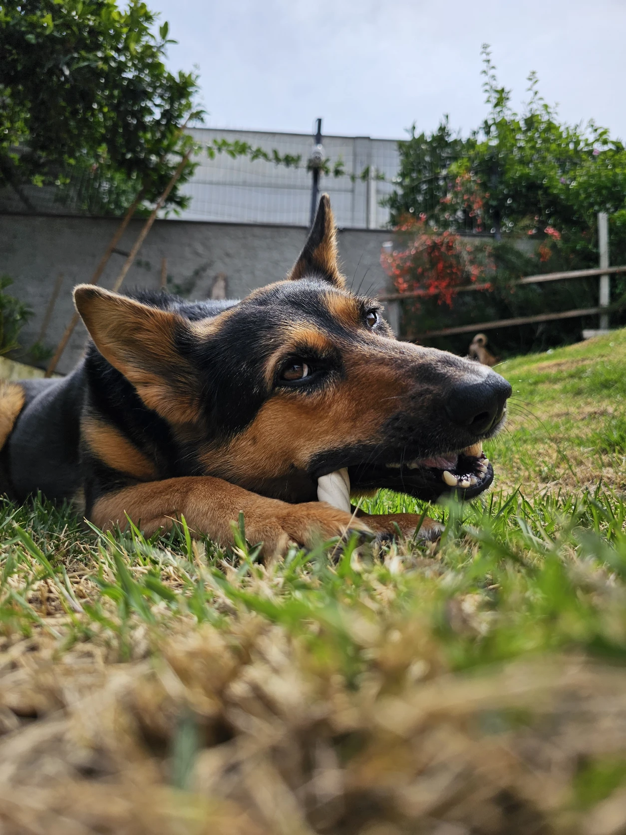 image-5