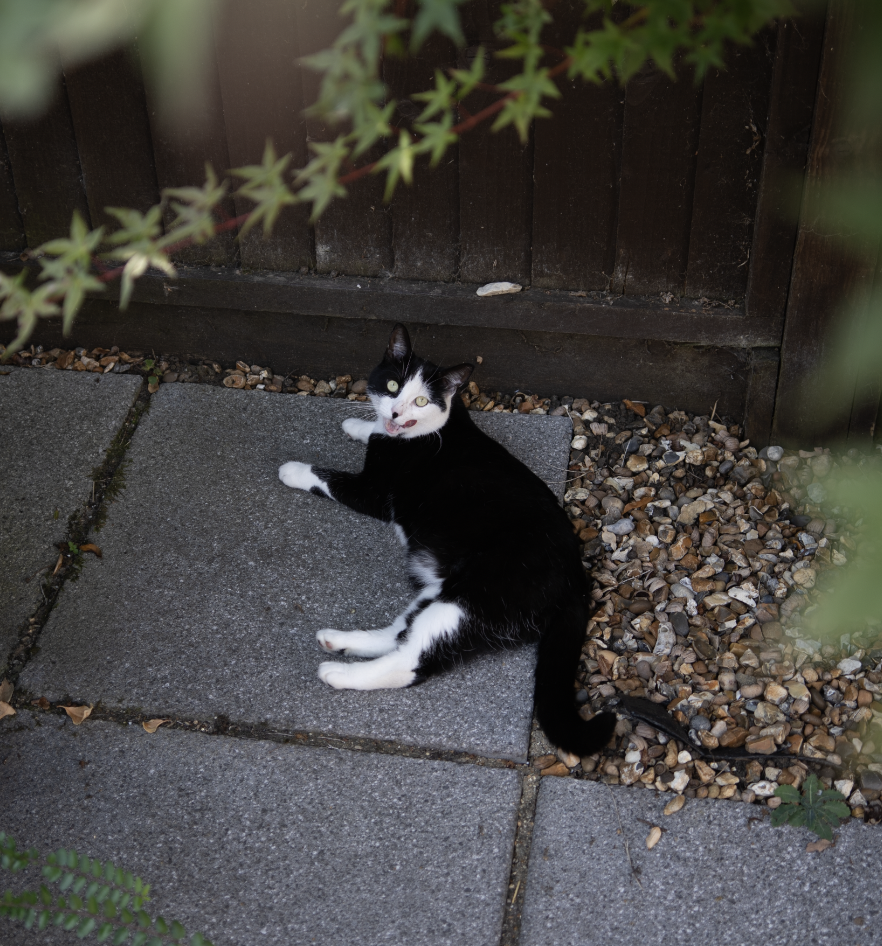image-21