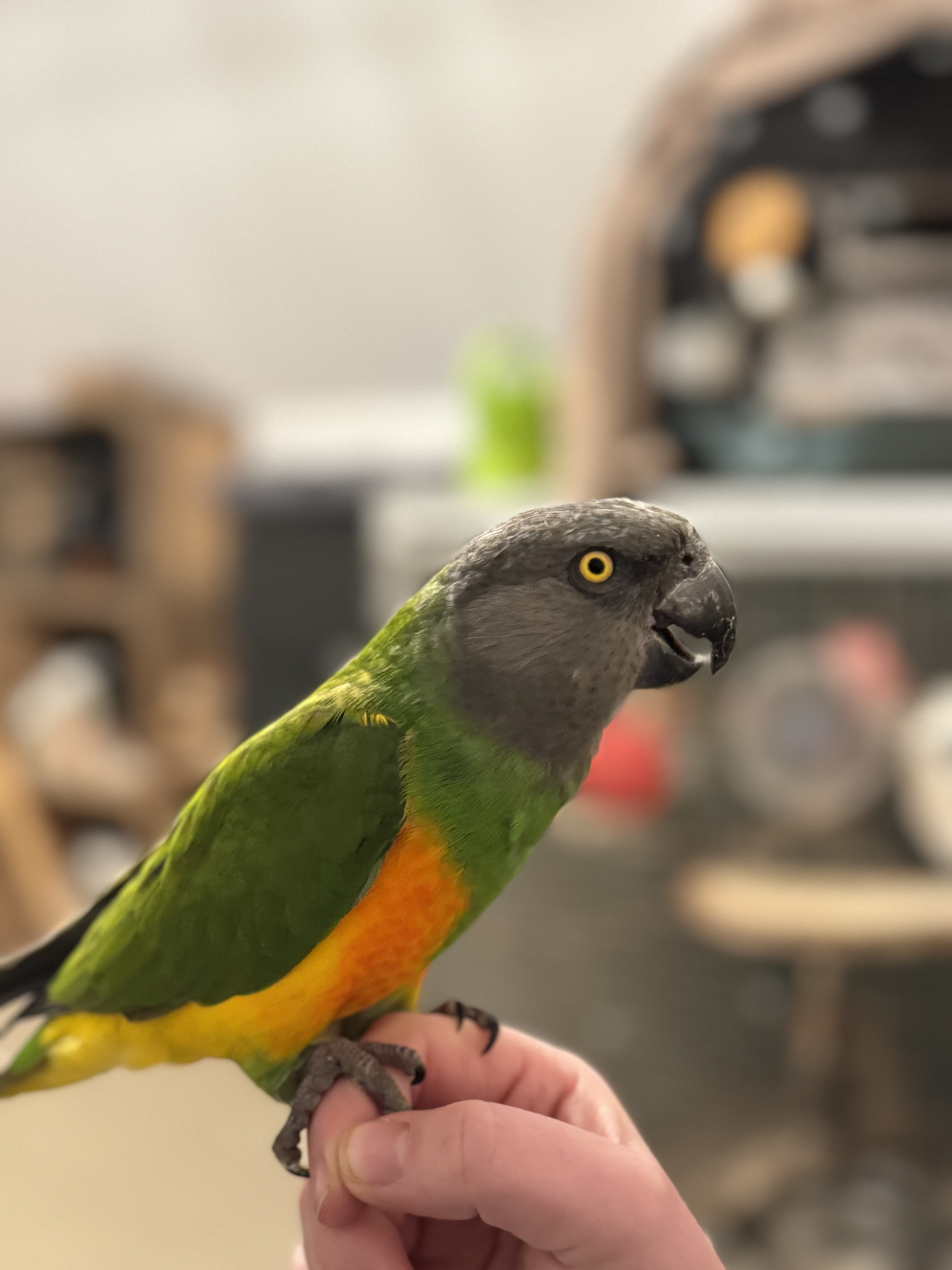 image-6