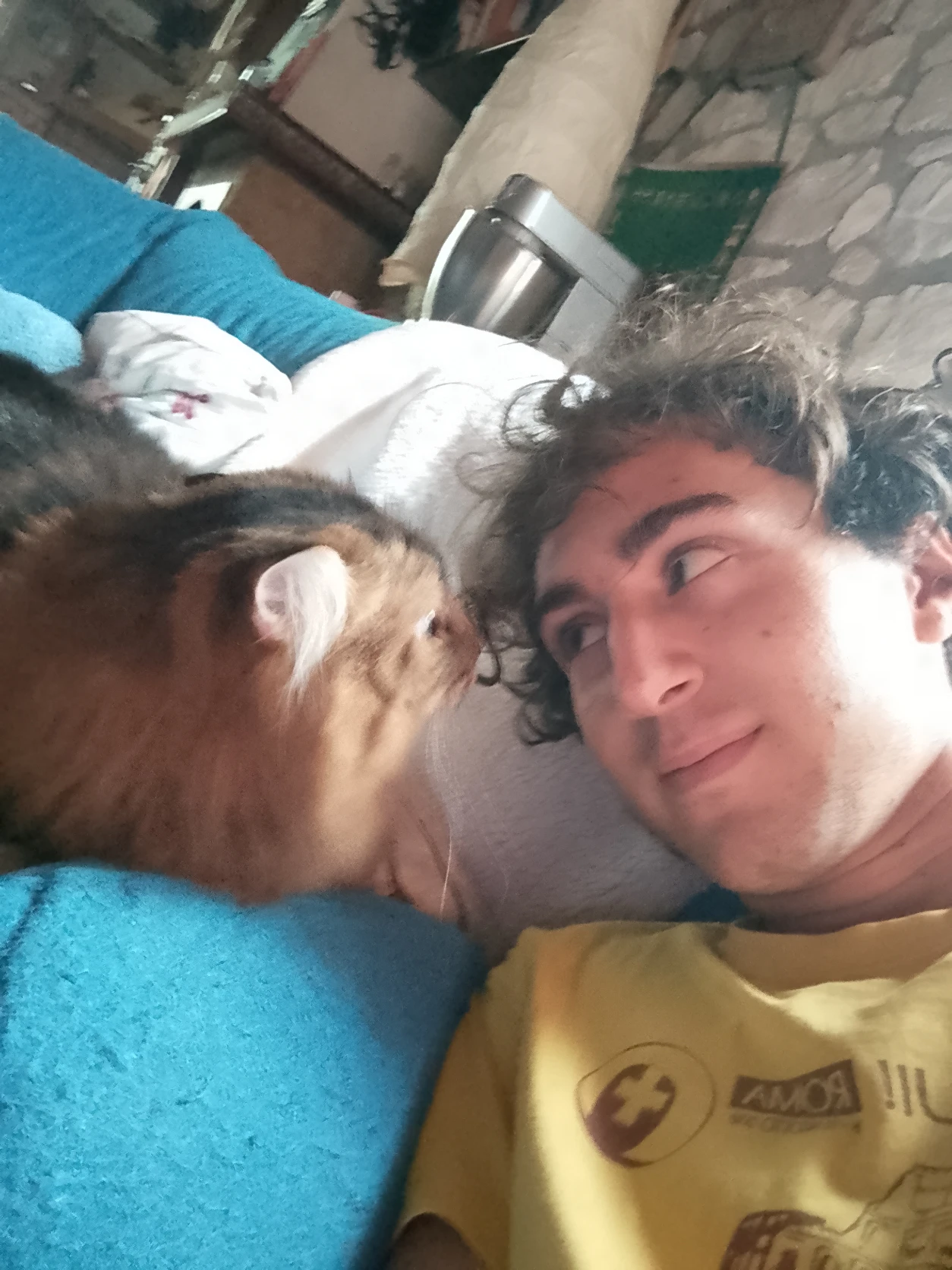 image-3