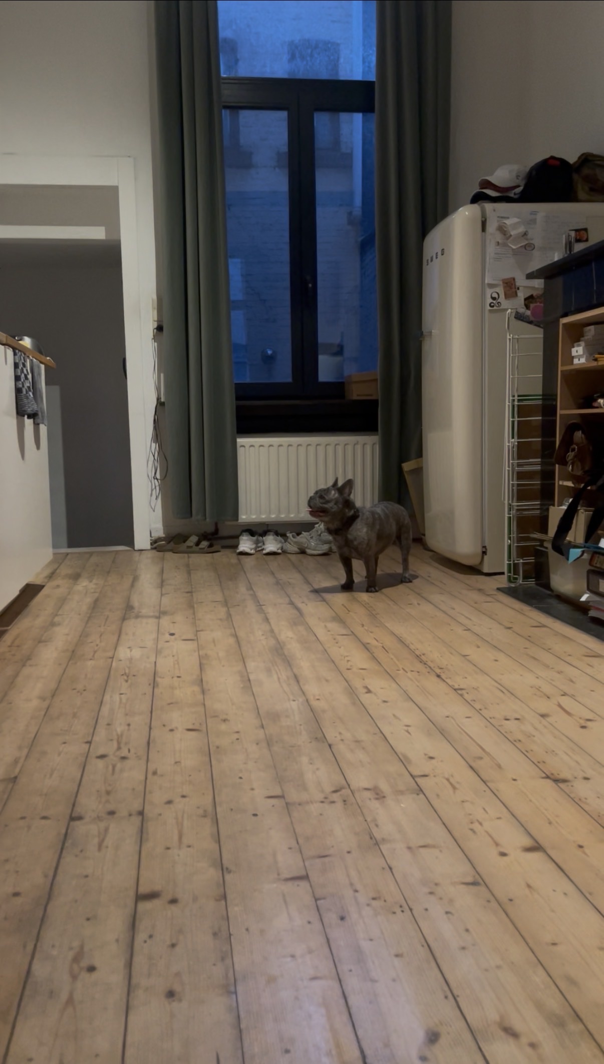 image-17