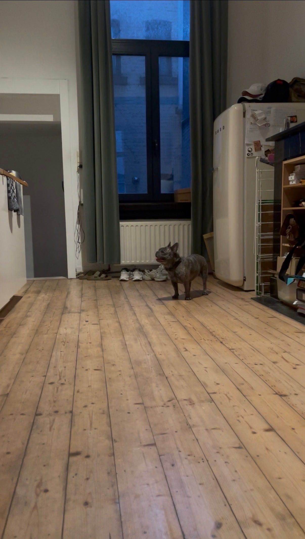 image-17