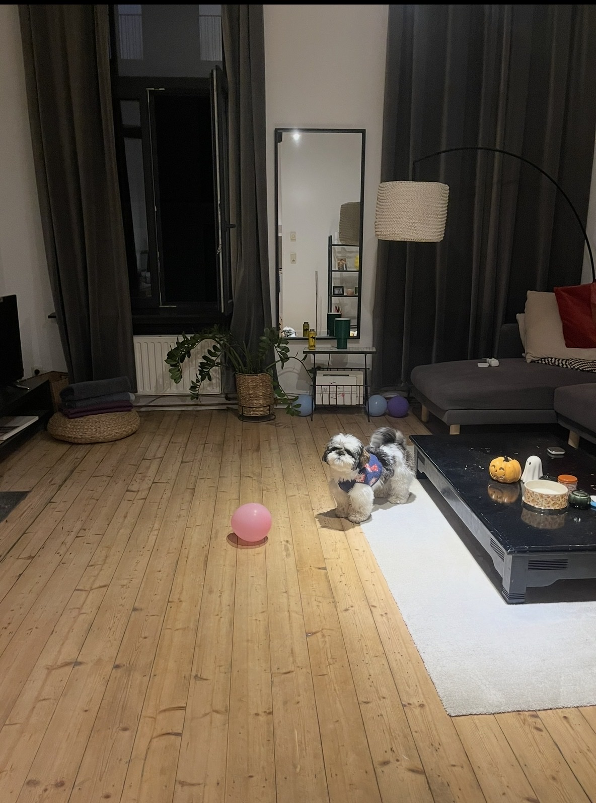 image-16