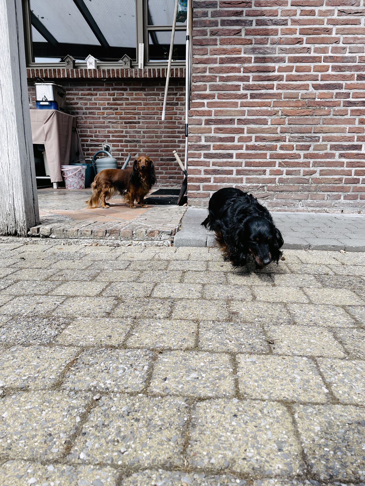 image-17