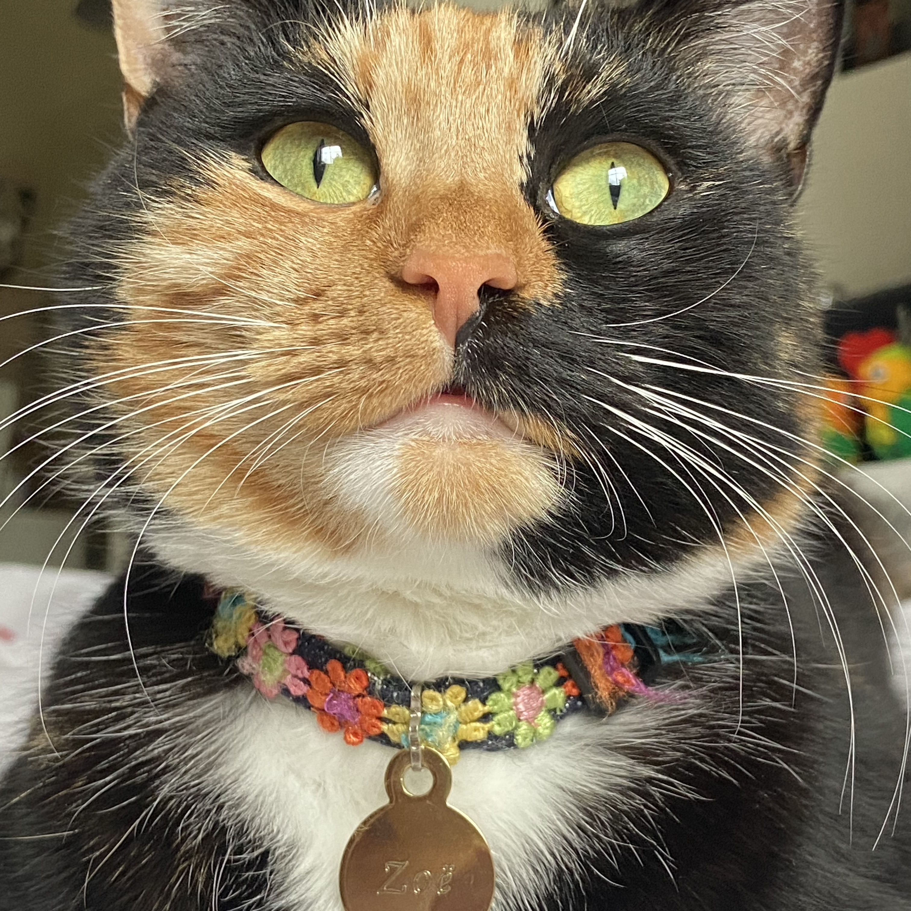 Zoë