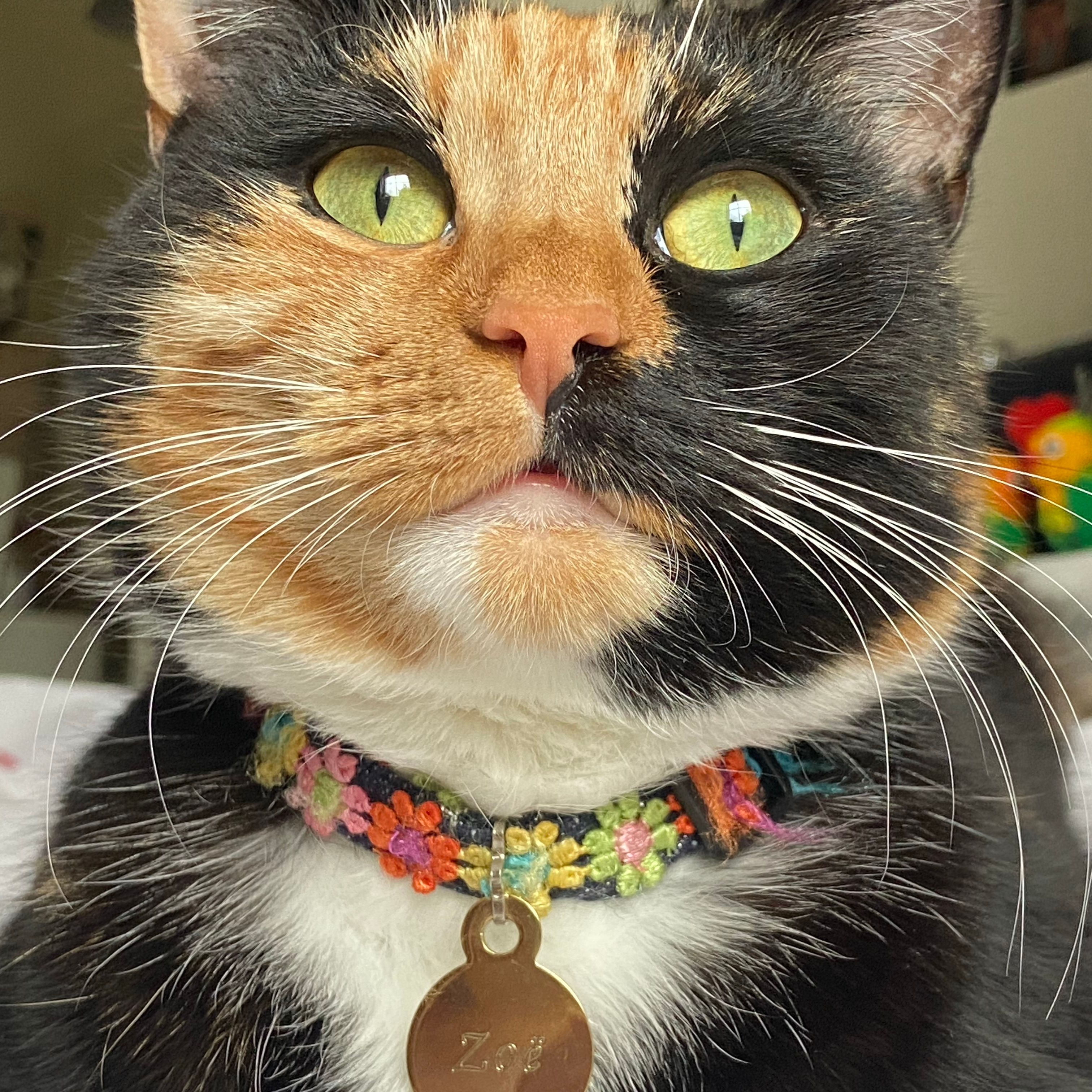 Zoë