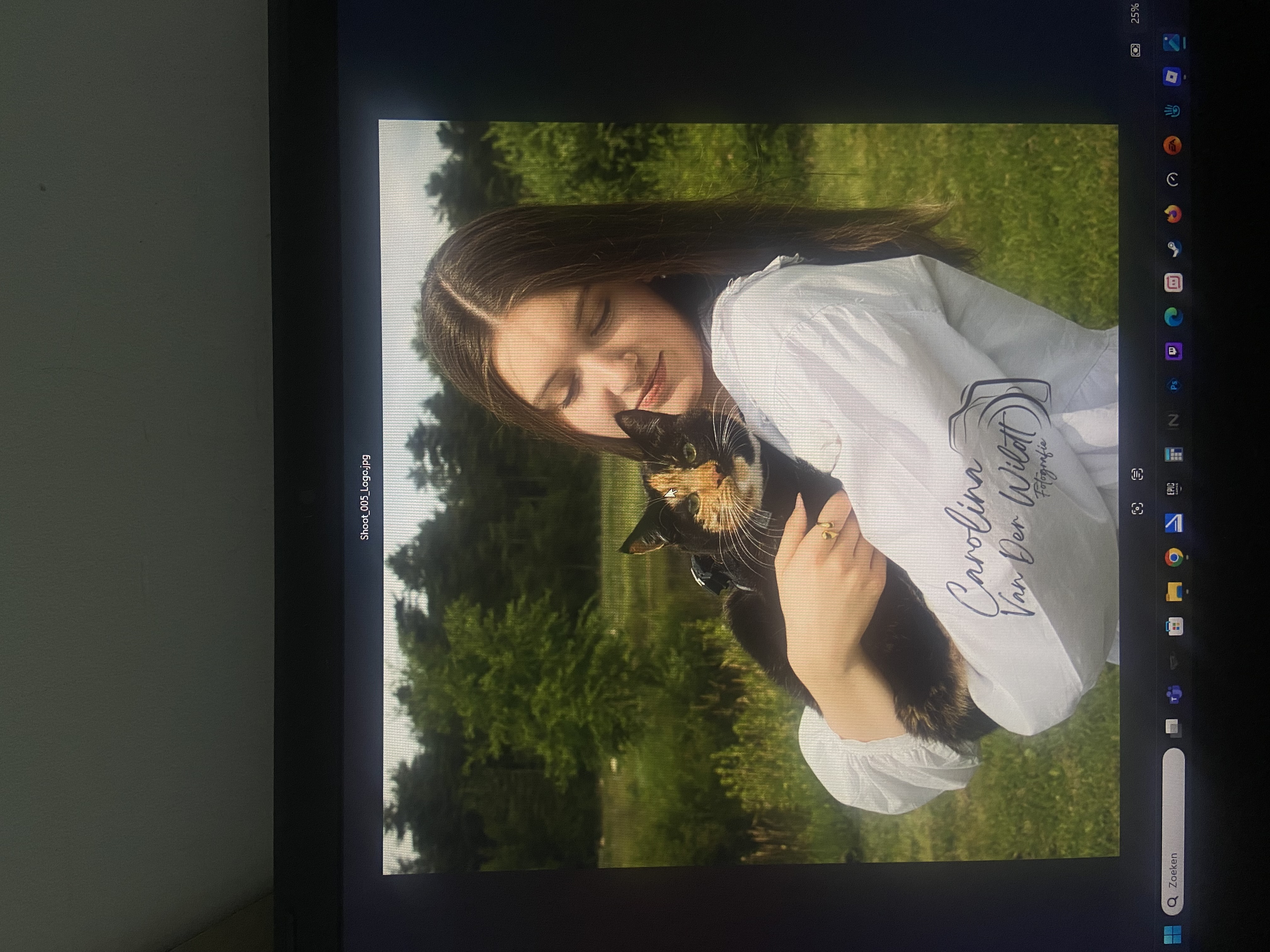 image-2