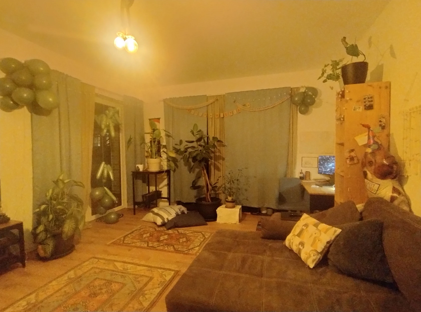 image-7