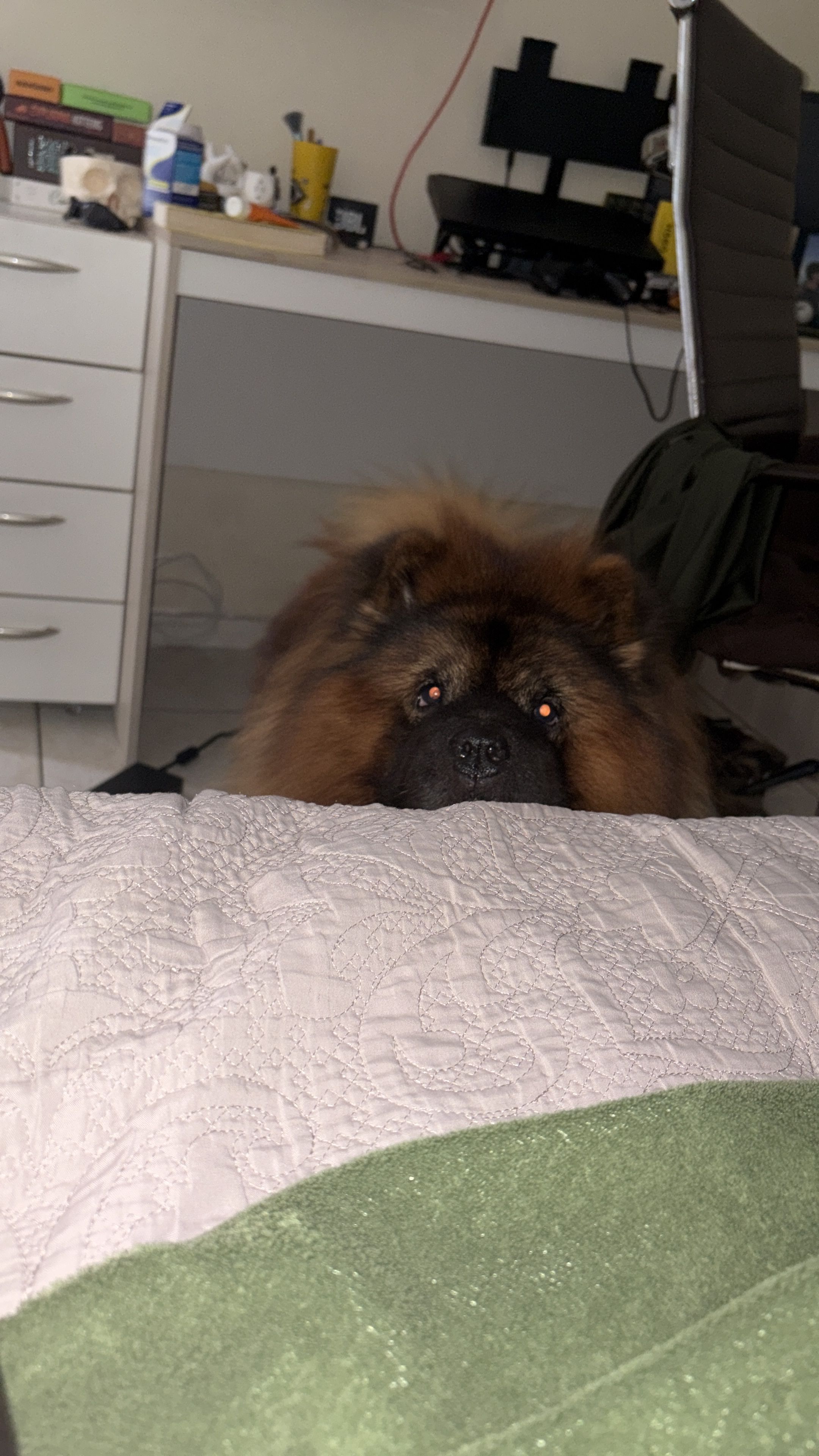 image-12