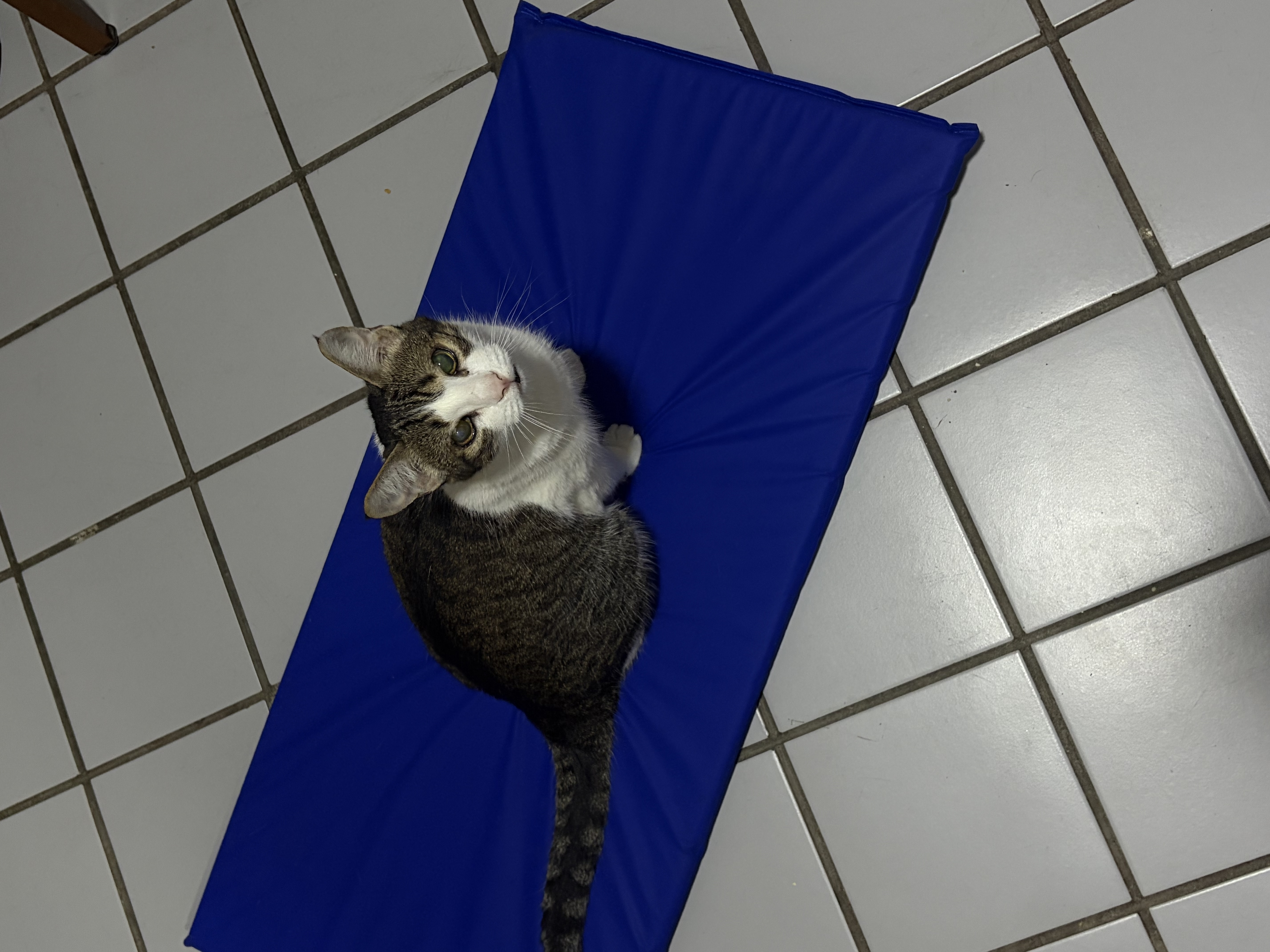 image-14