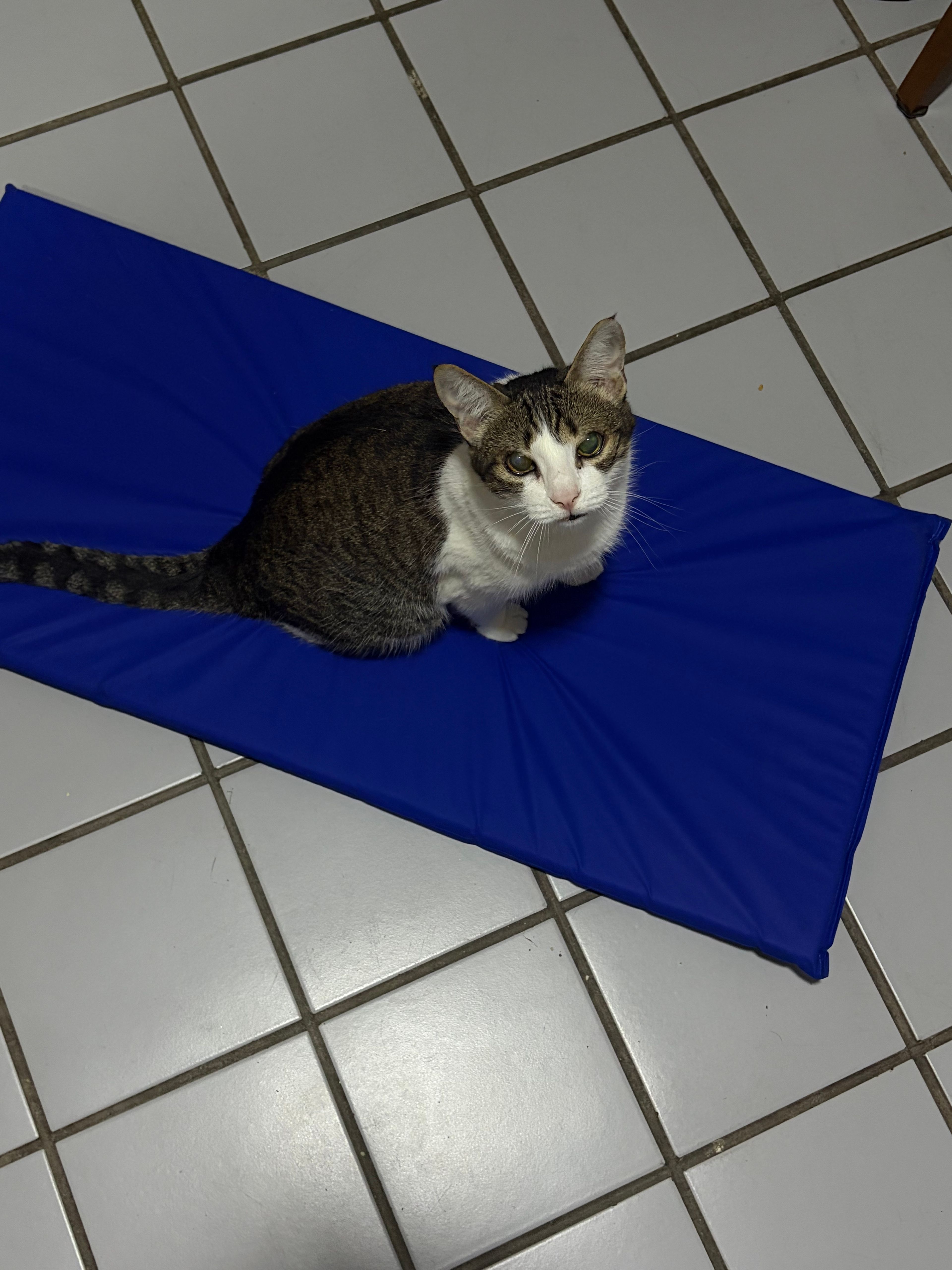 image-14