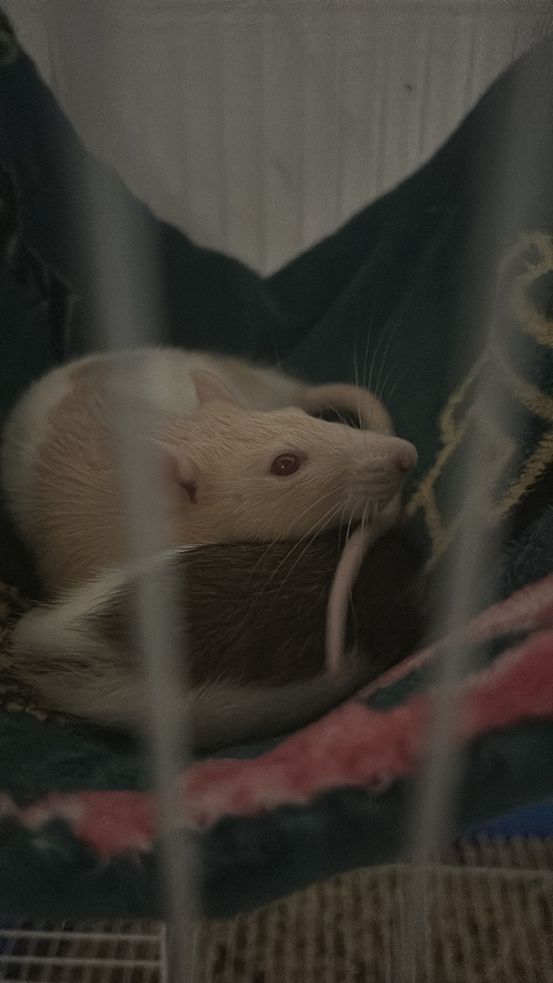 image-6