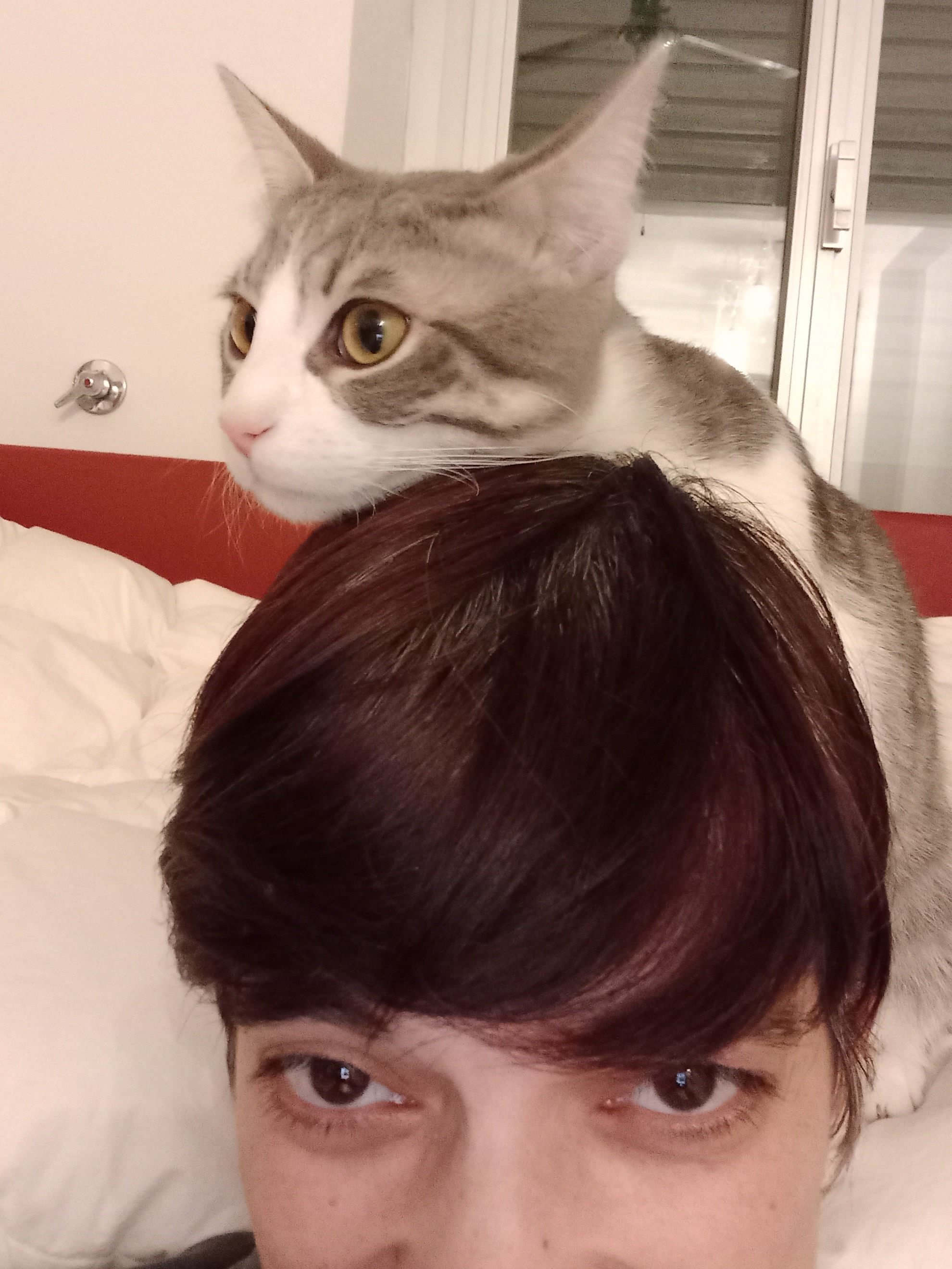 image-9