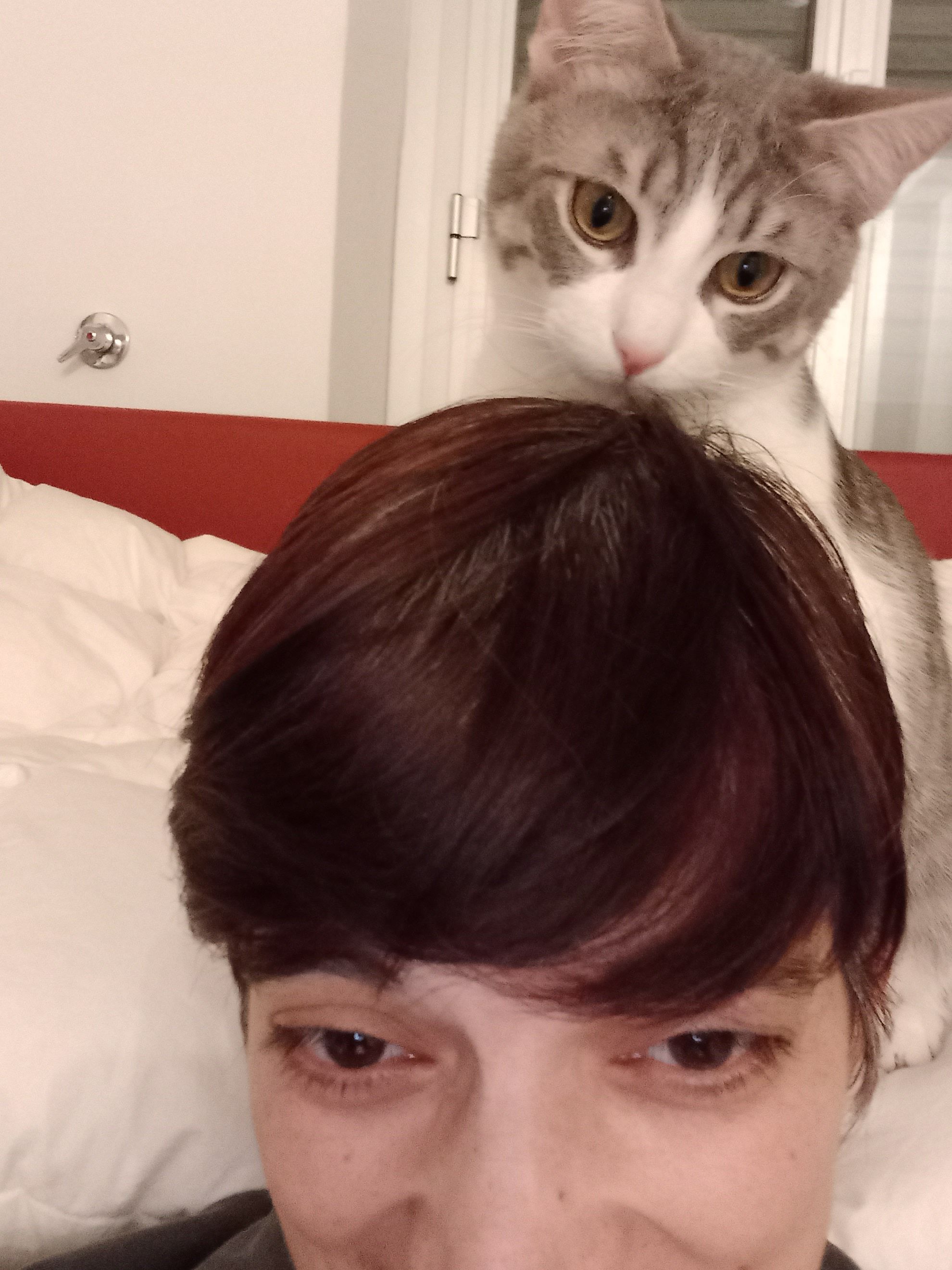 image-6