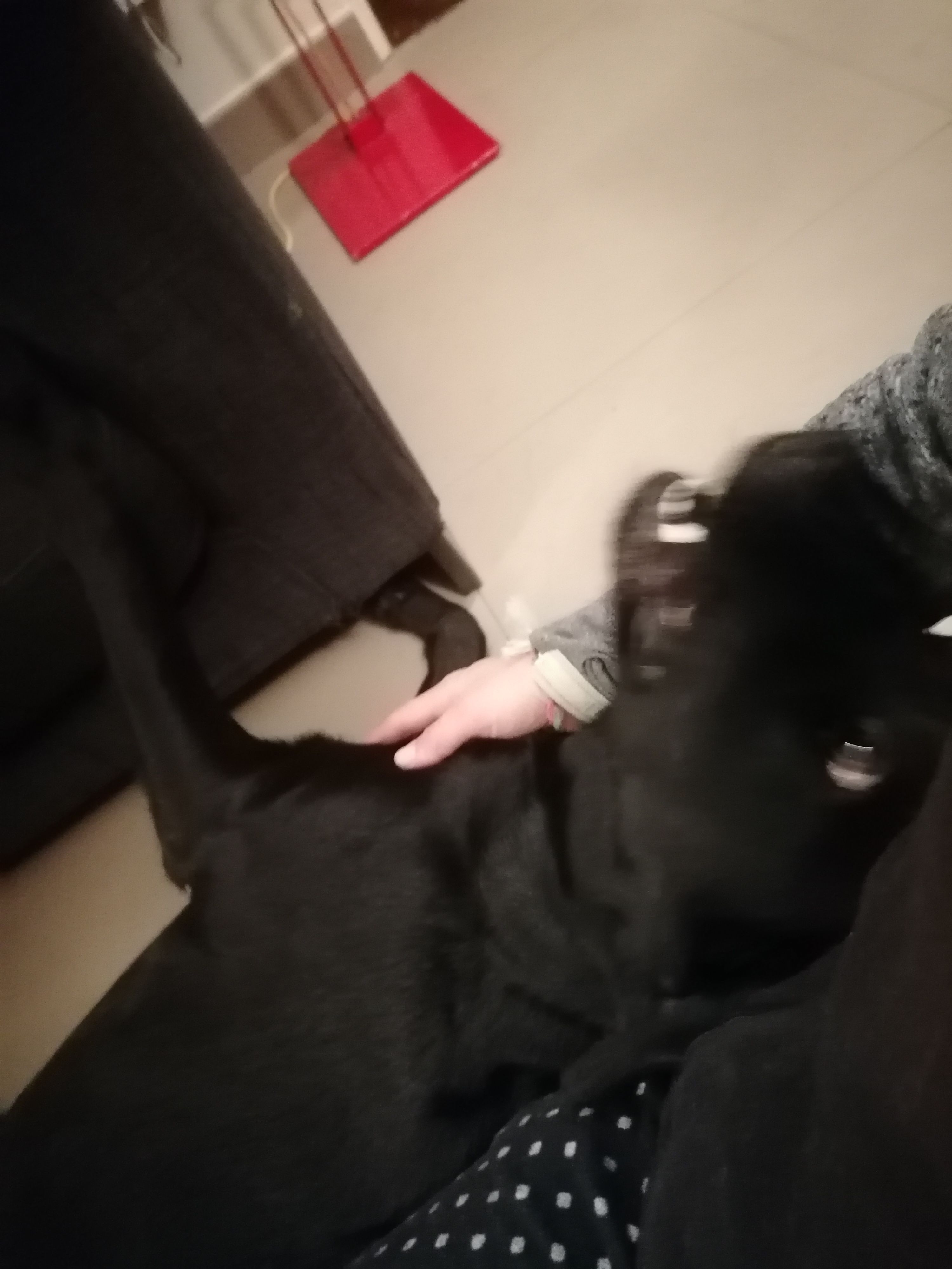 image-7