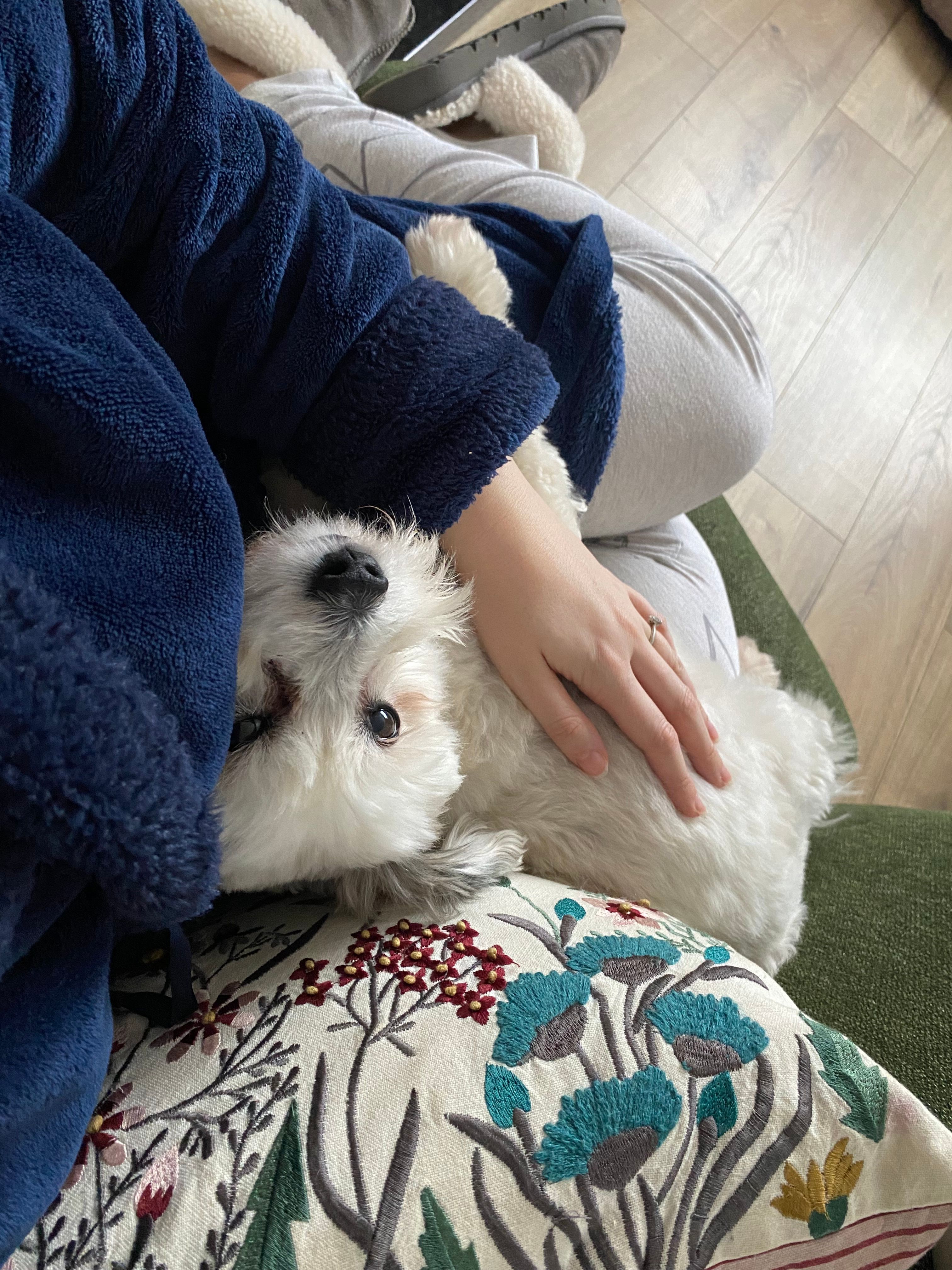 image-7