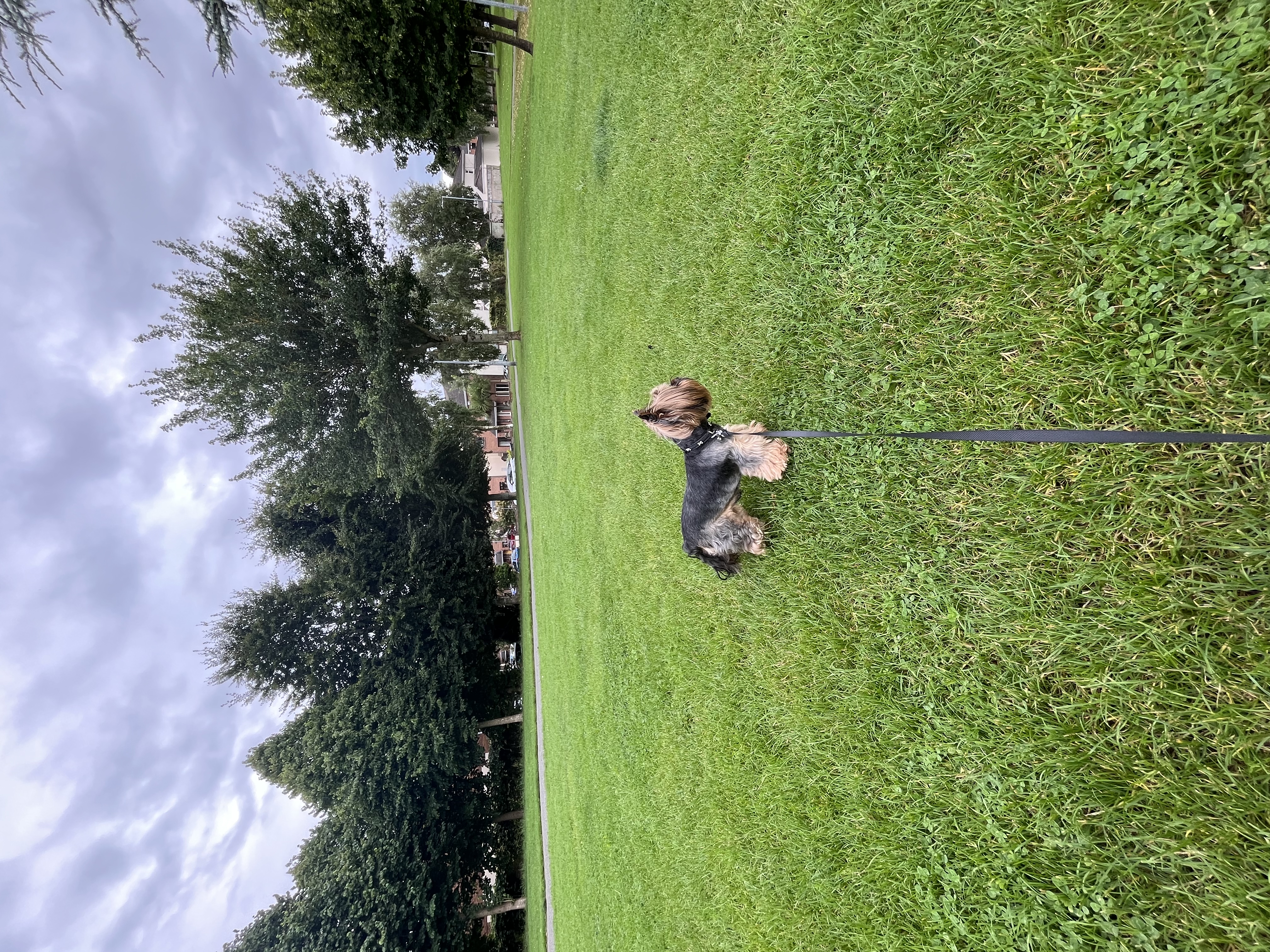 image-14