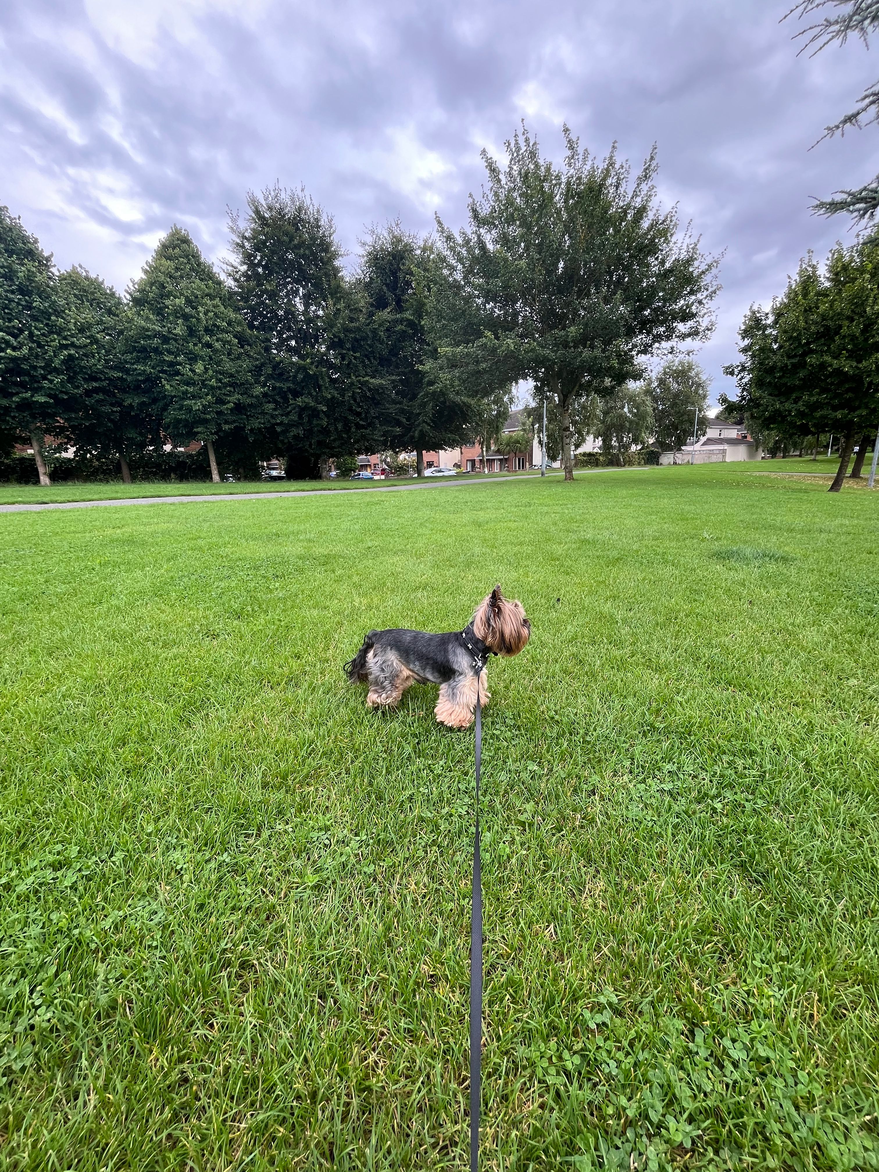 image-14