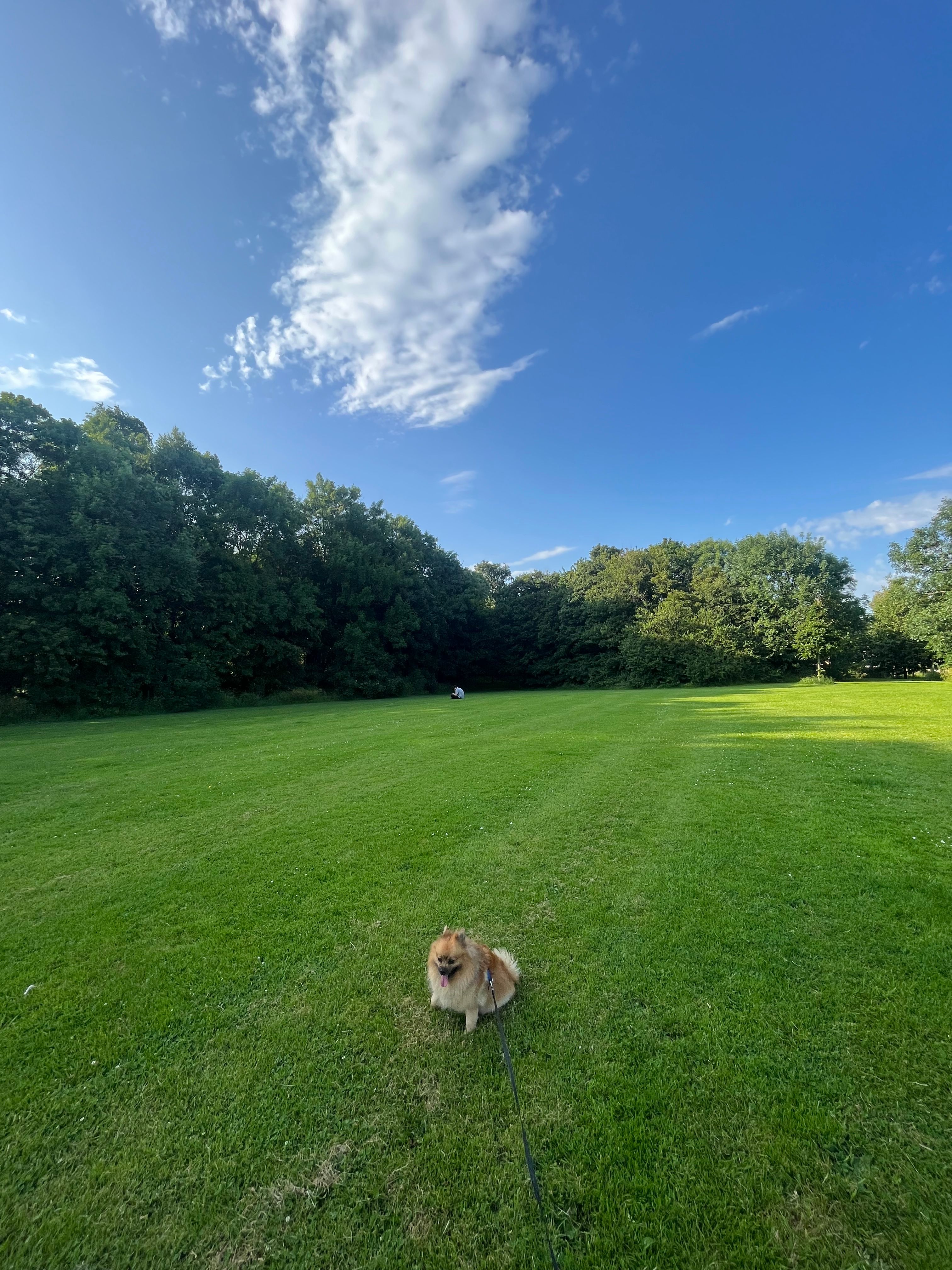image-15