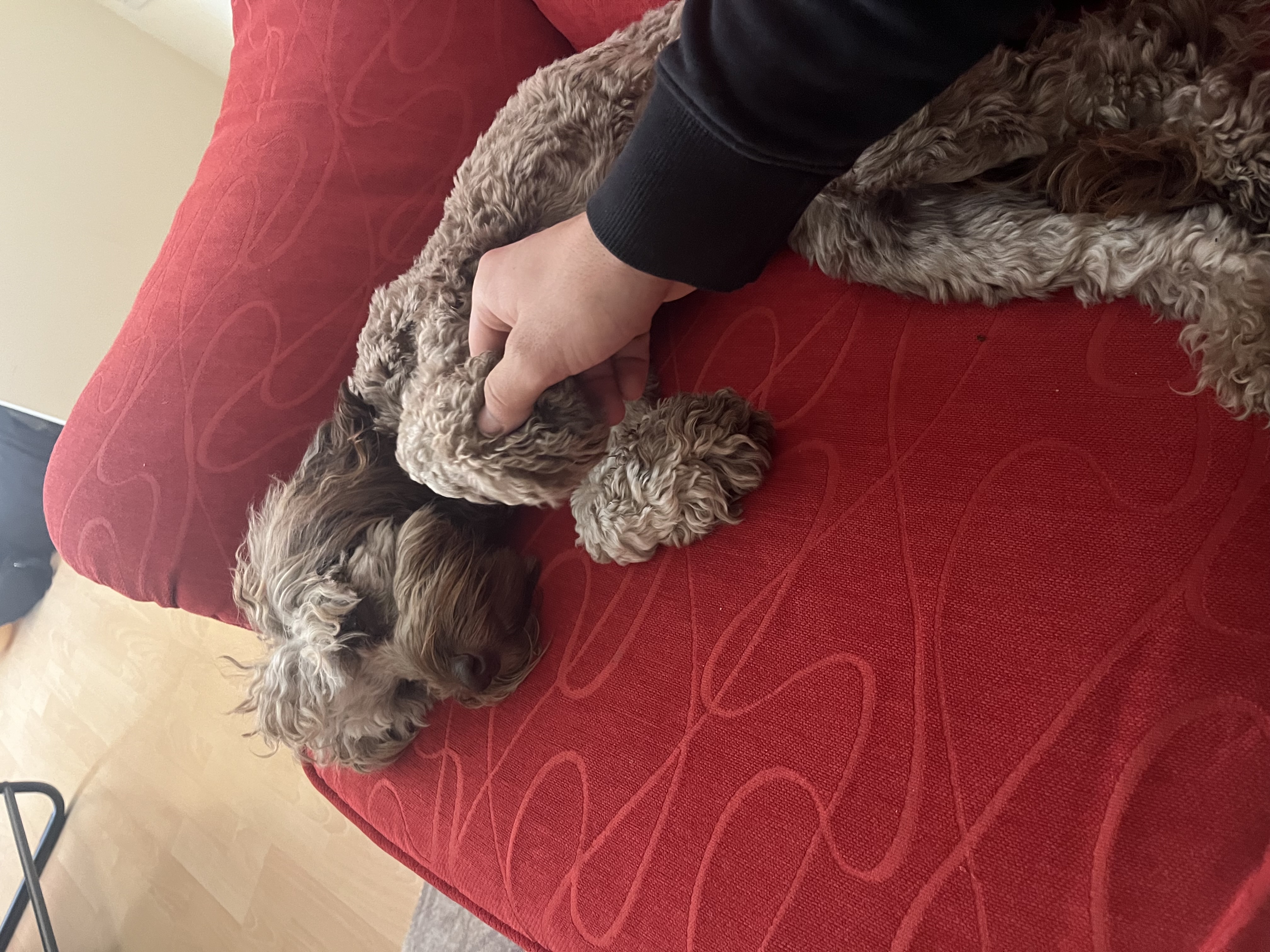 image-5