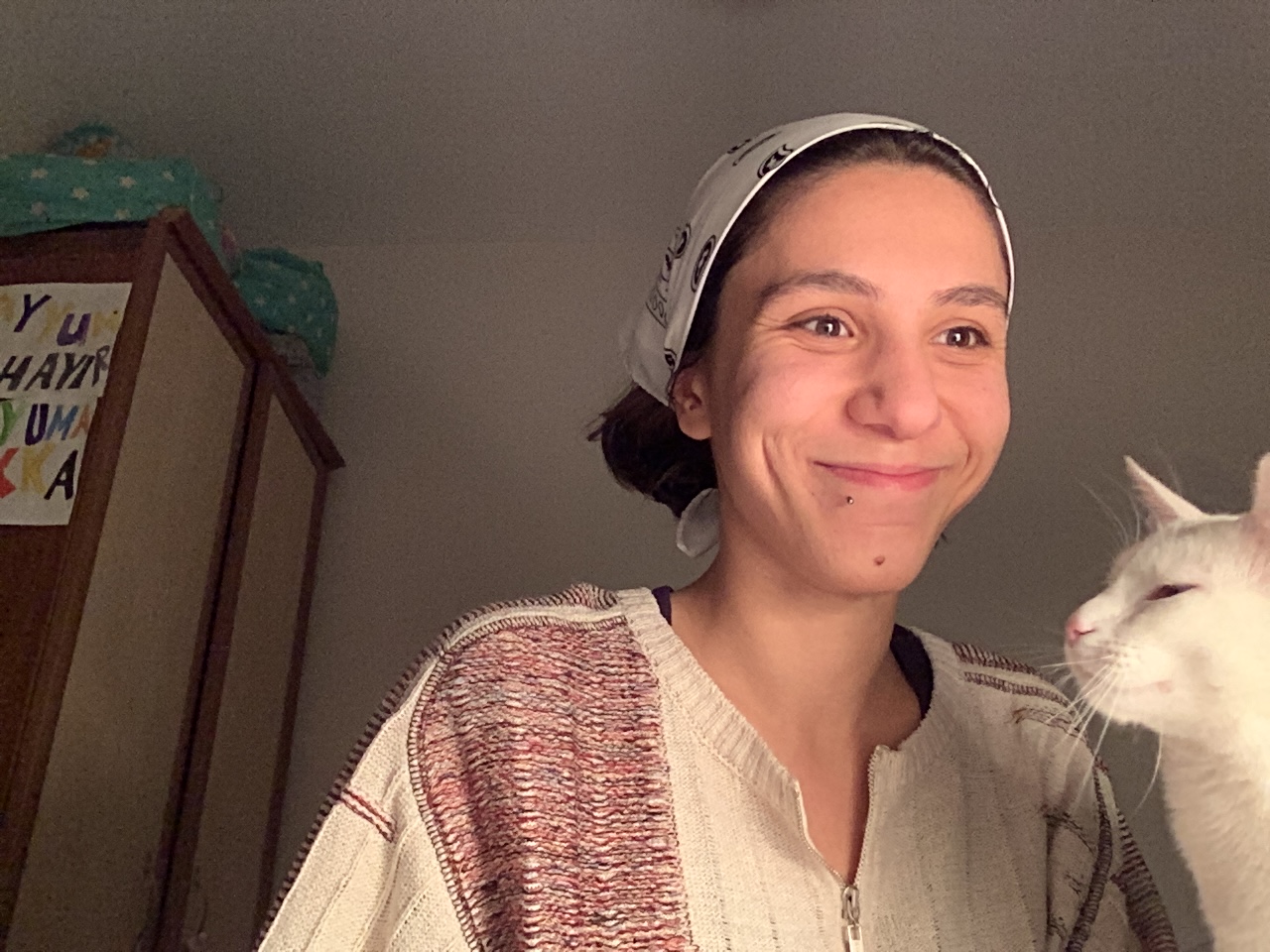 image-7