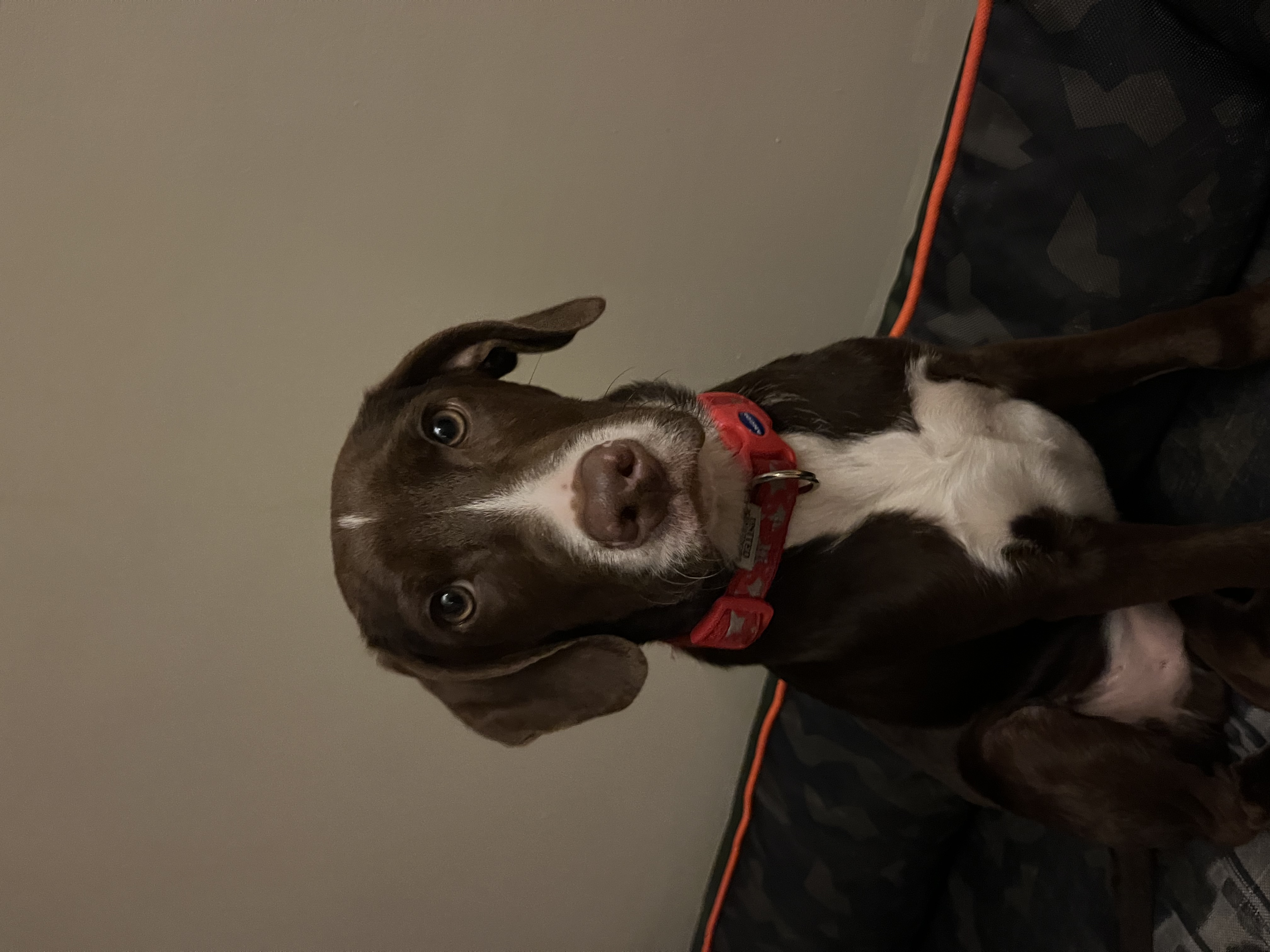 image-6