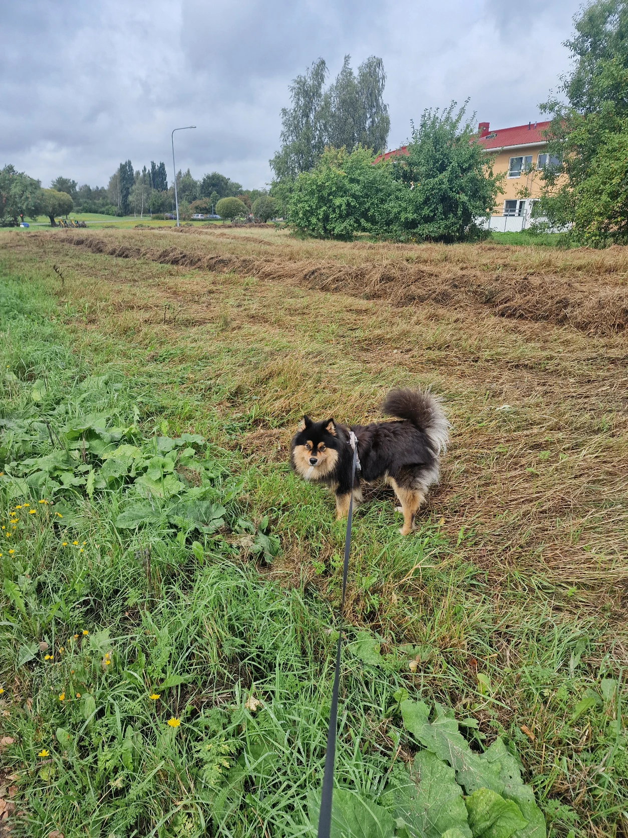 image-69