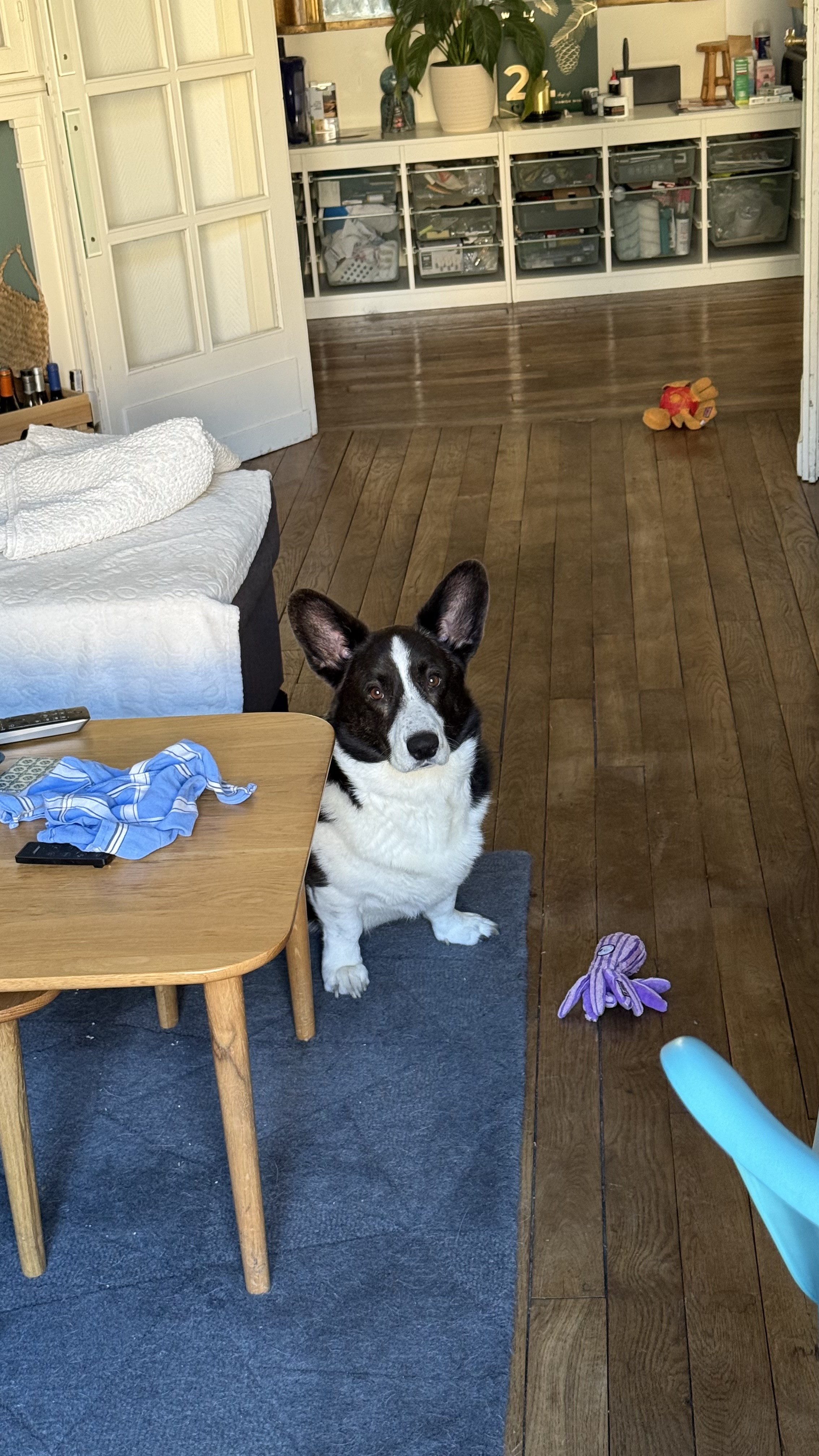 image-6