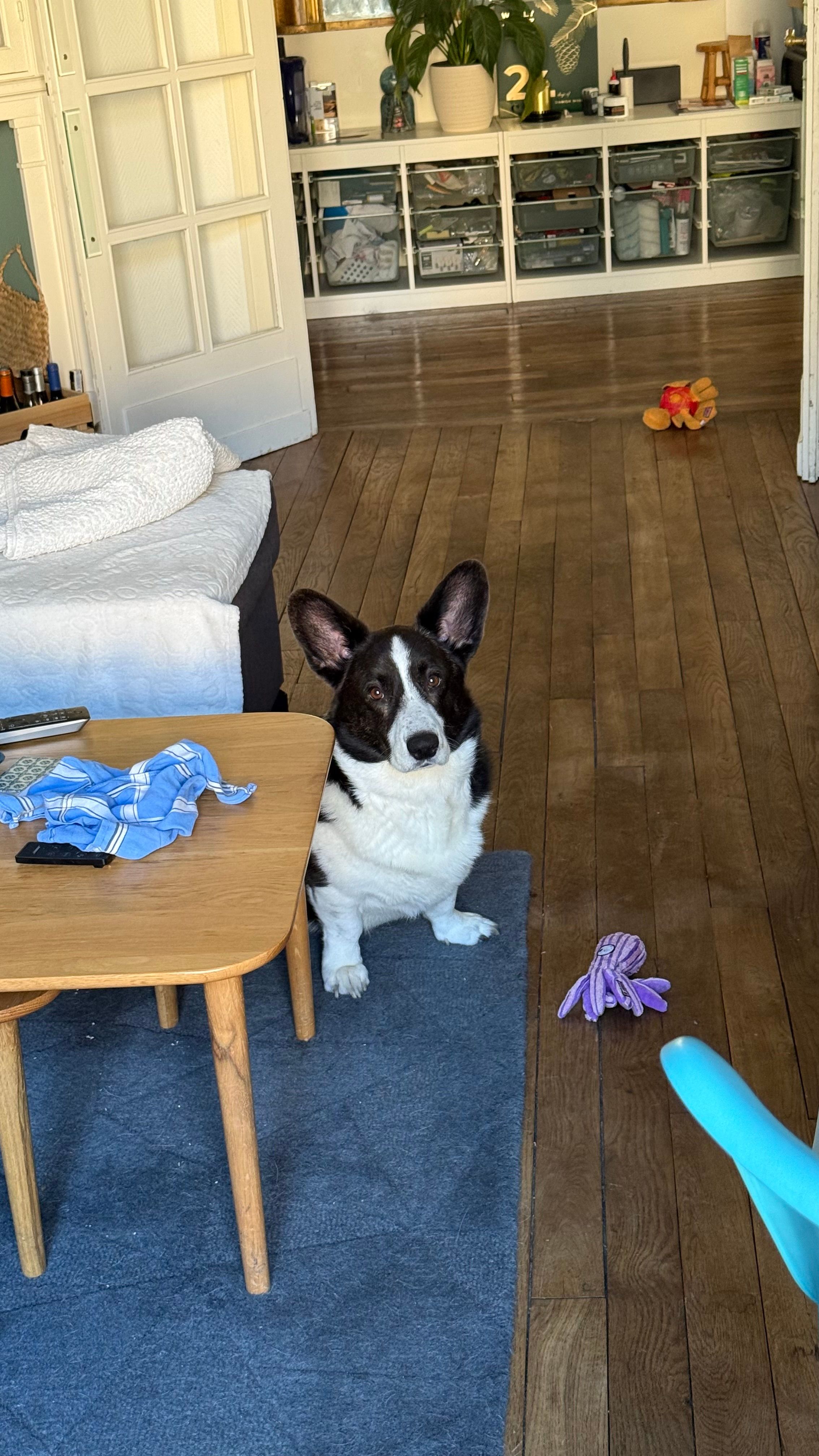 image-6