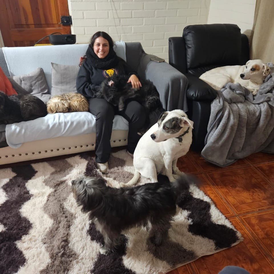 Molly, Paleta, Reineta, Willy, Nube, Canela, Dinky, Blacky