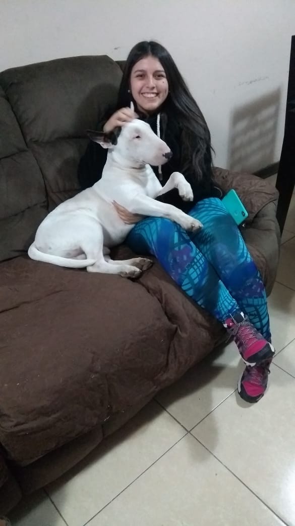 image-7
