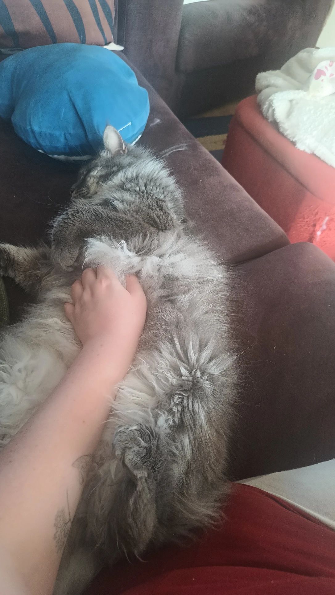 image-8