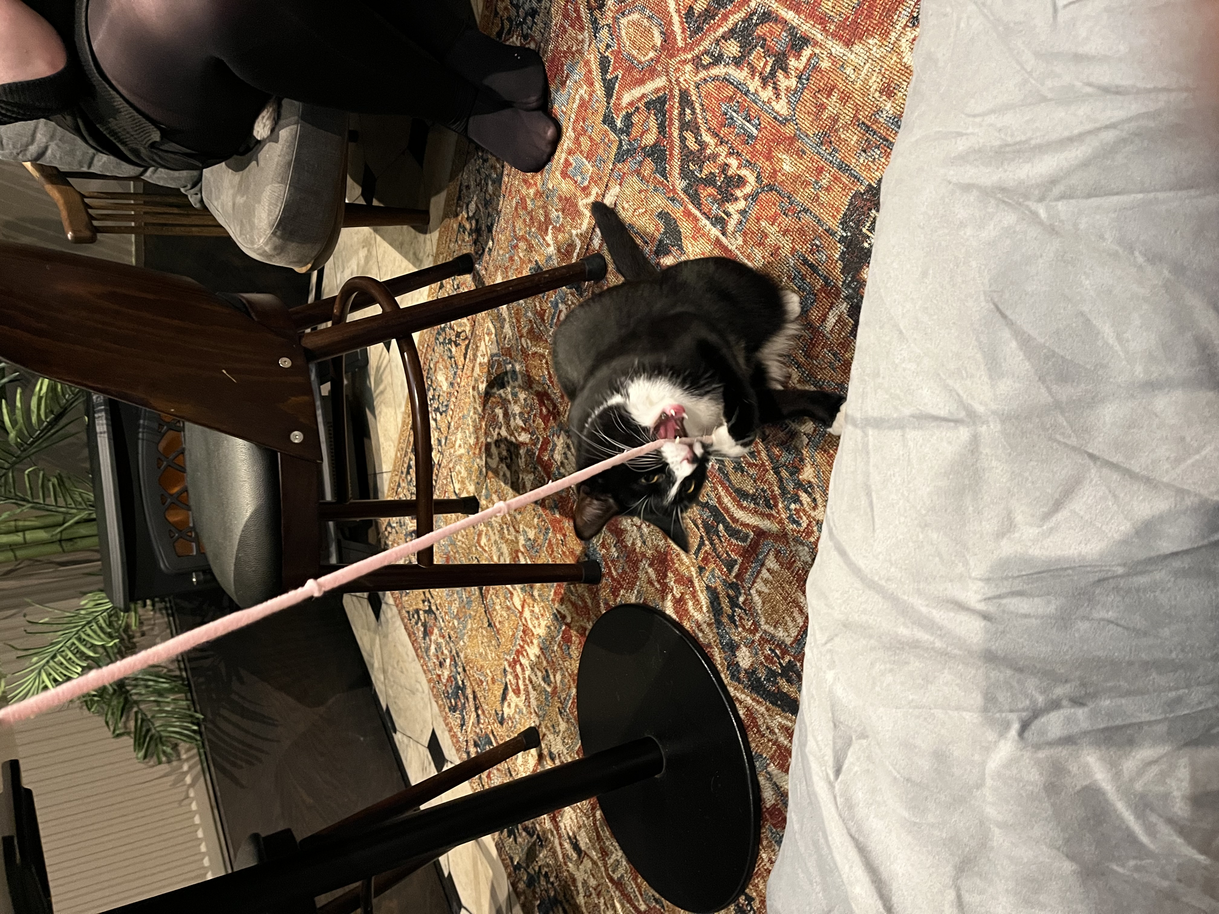 image-12
