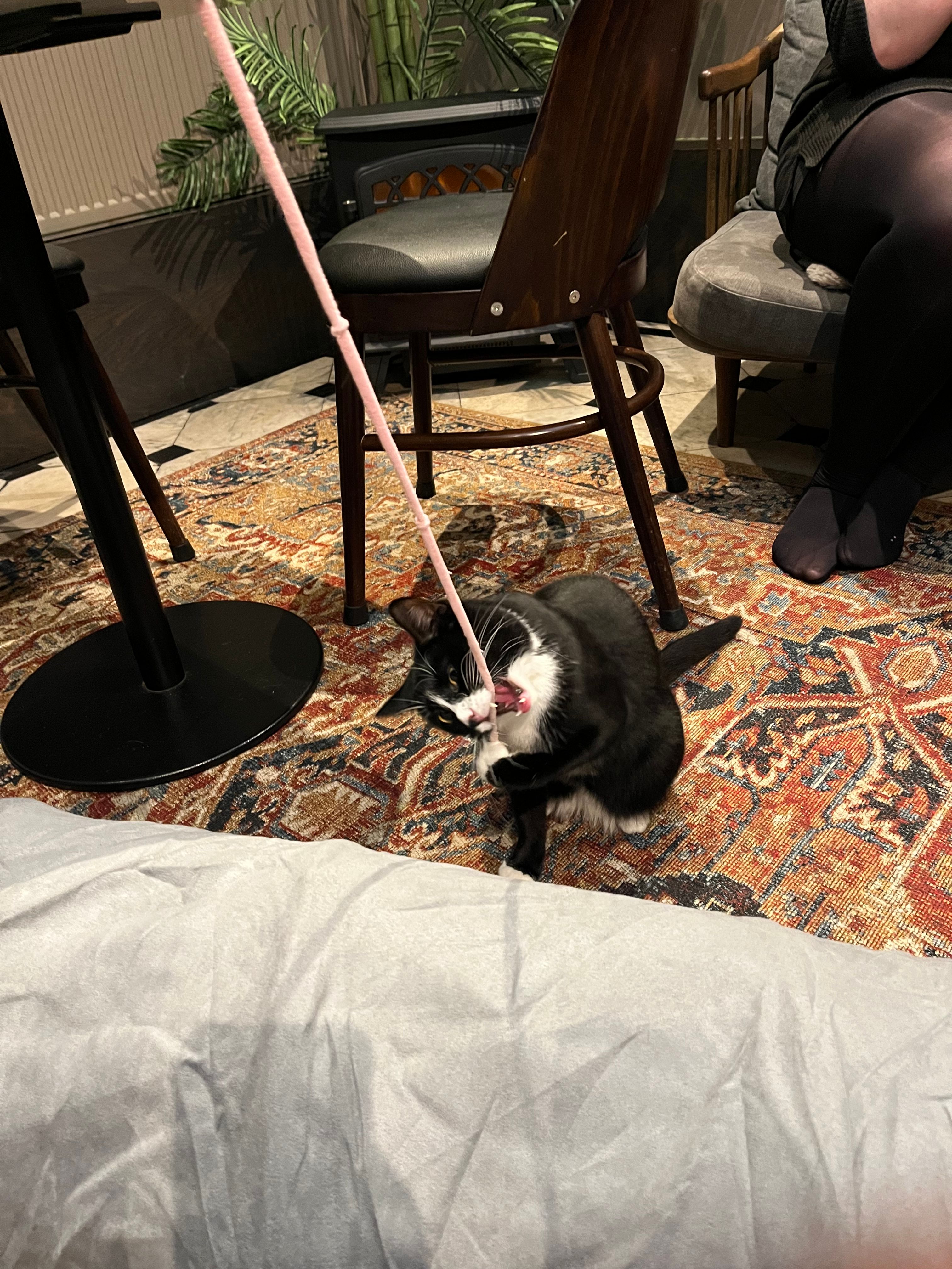 image-12