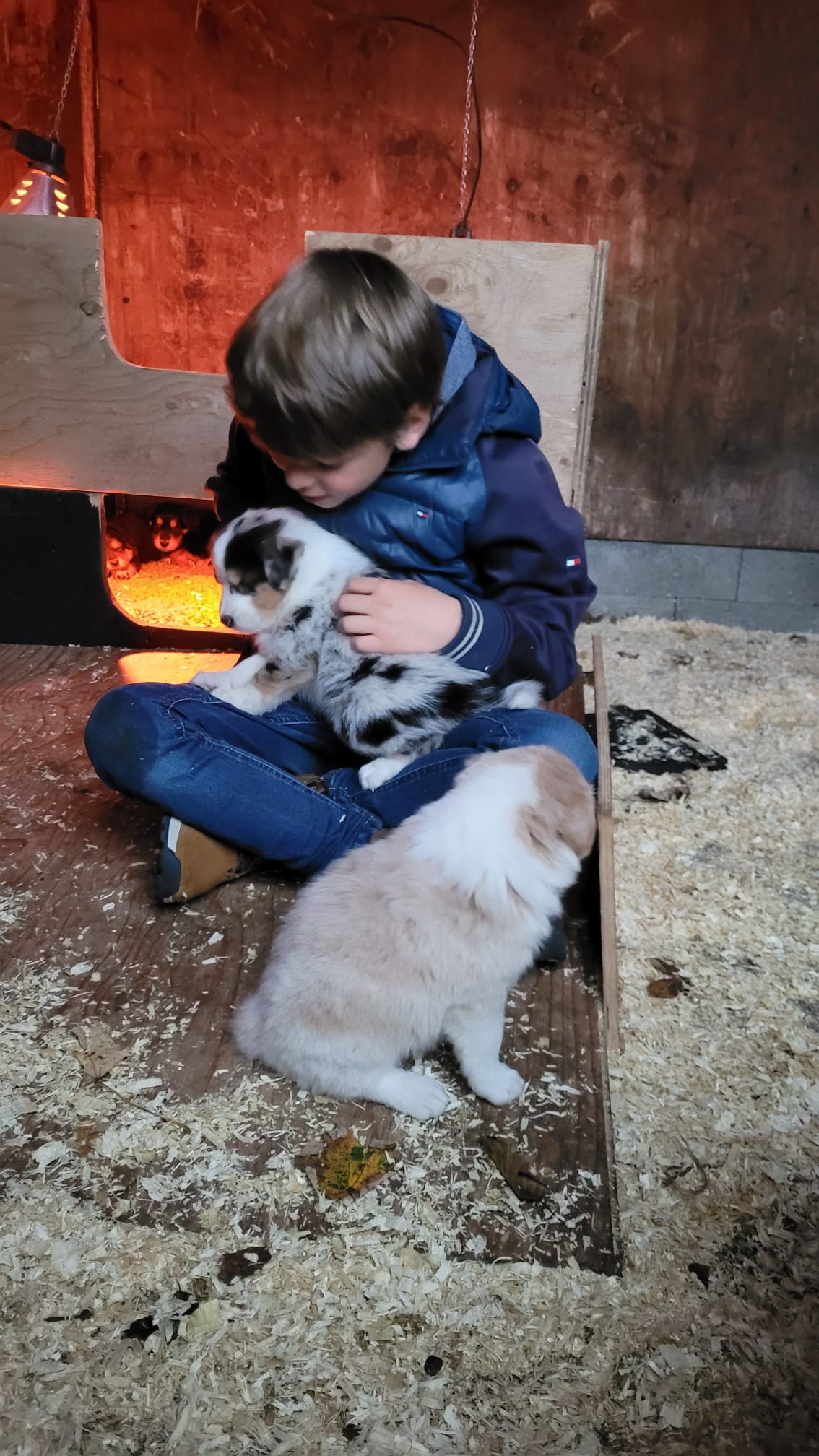 image-8