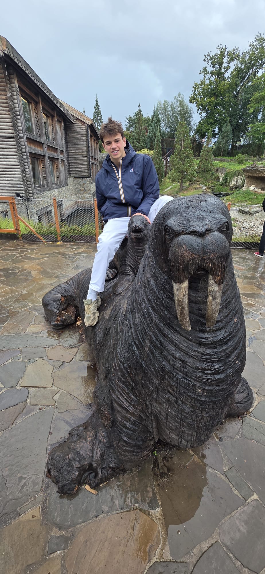 image-6