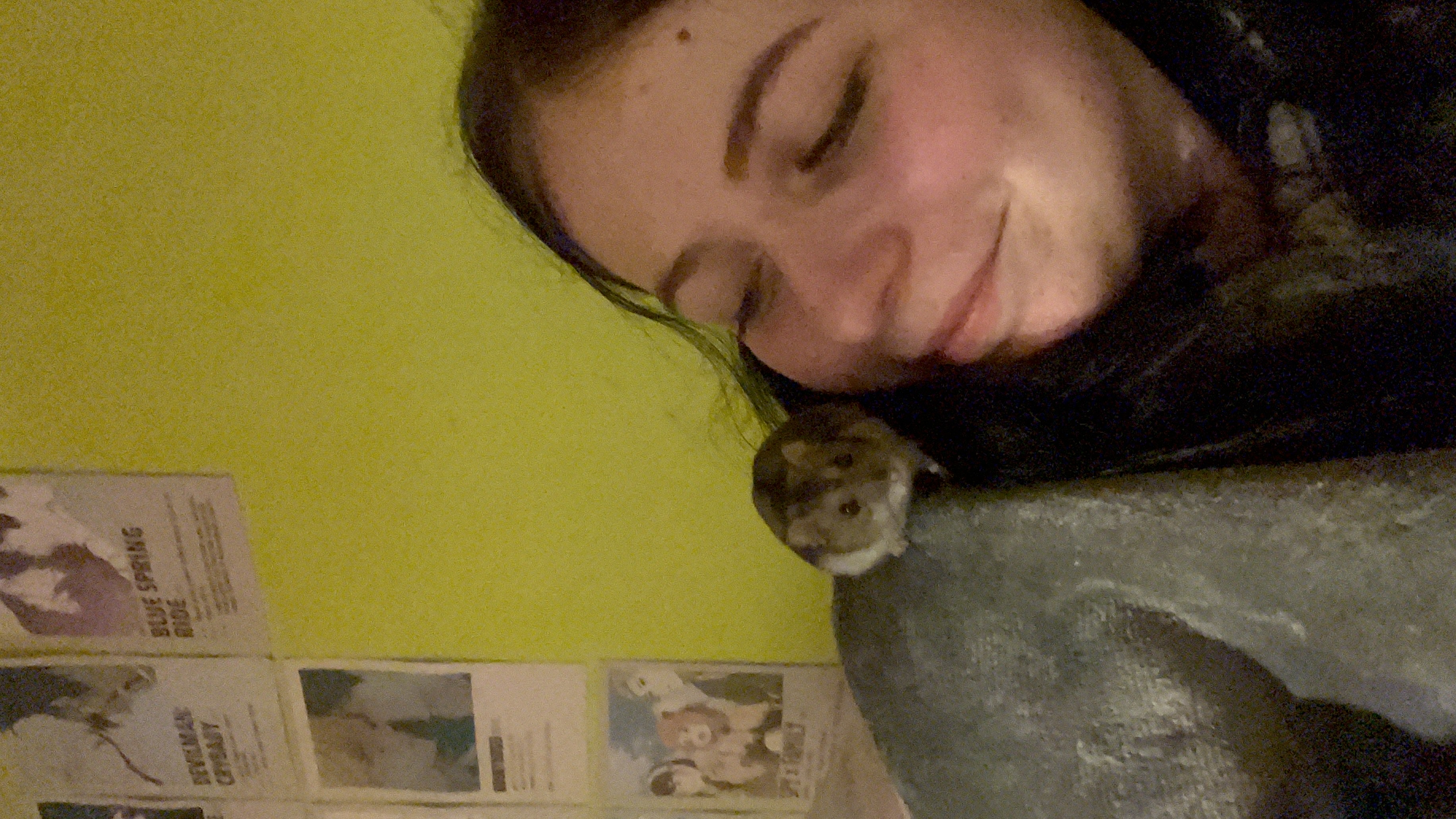image-6