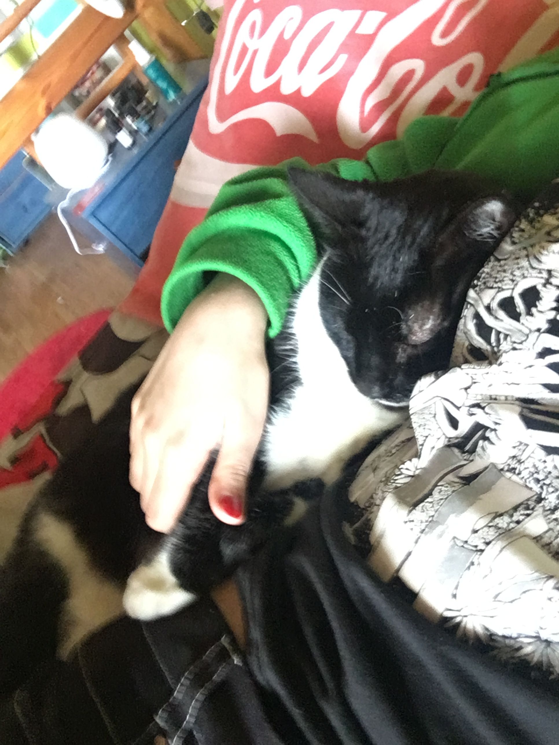 image-9
