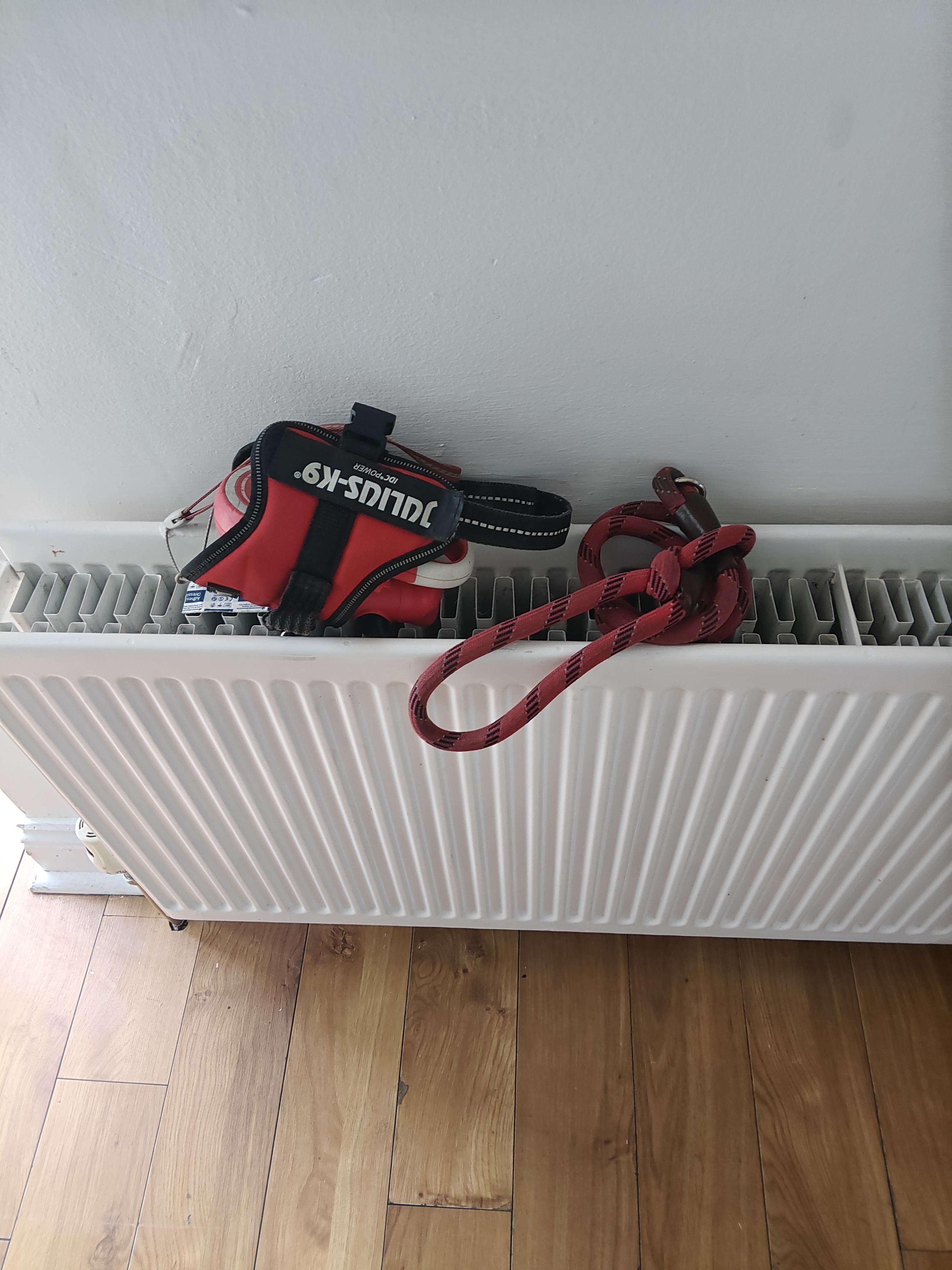 image-16