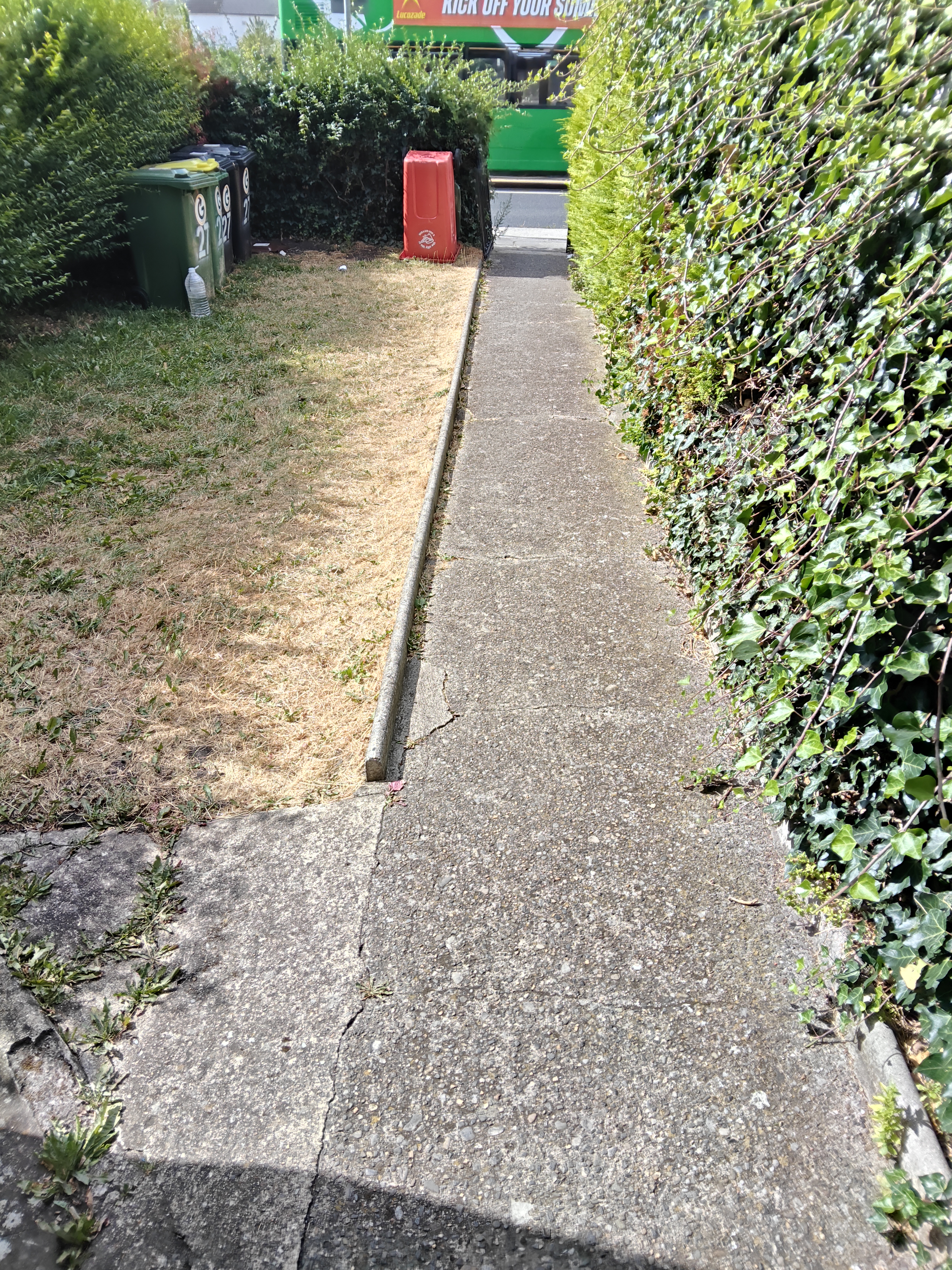 image-12