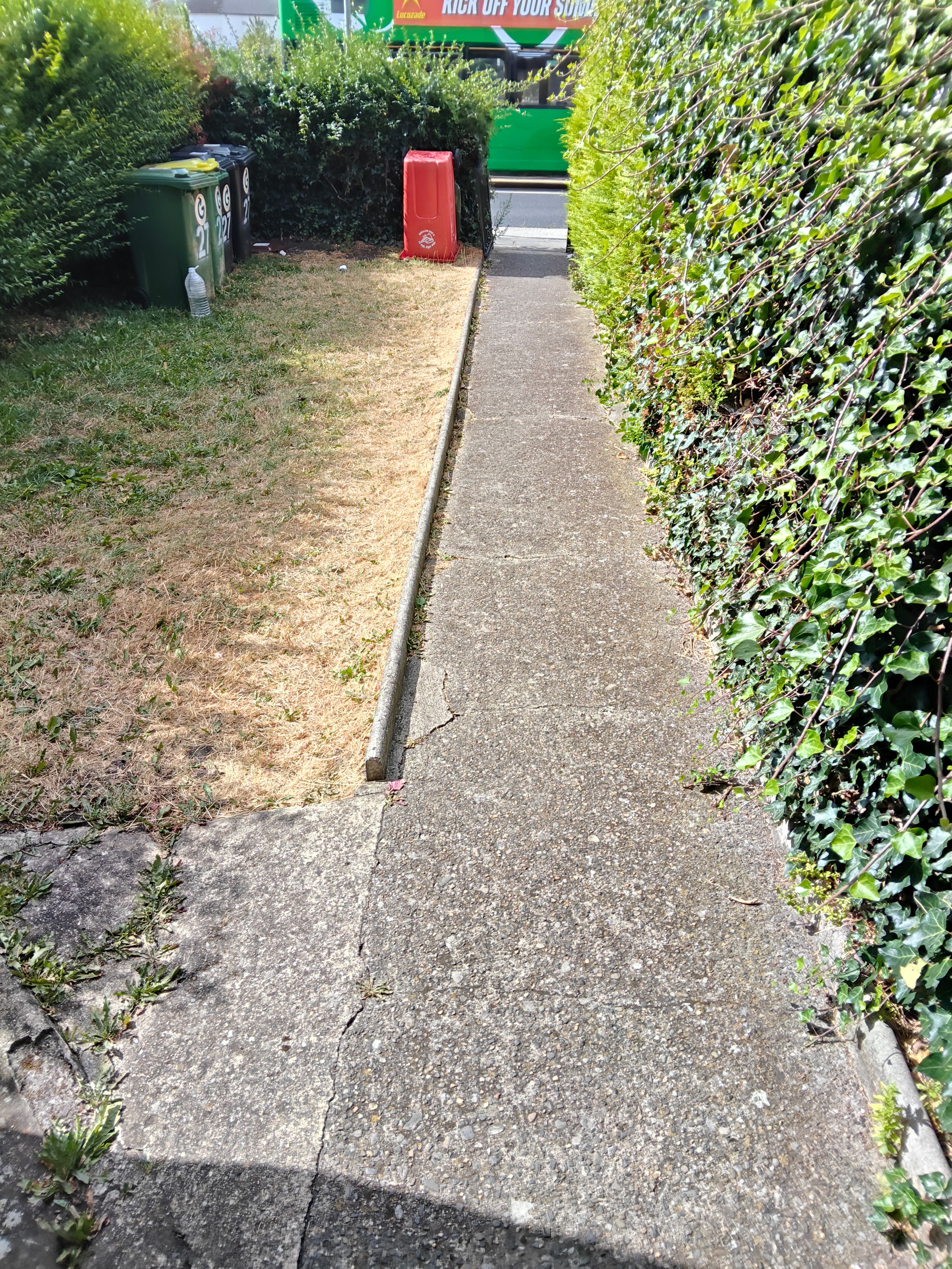 image-12