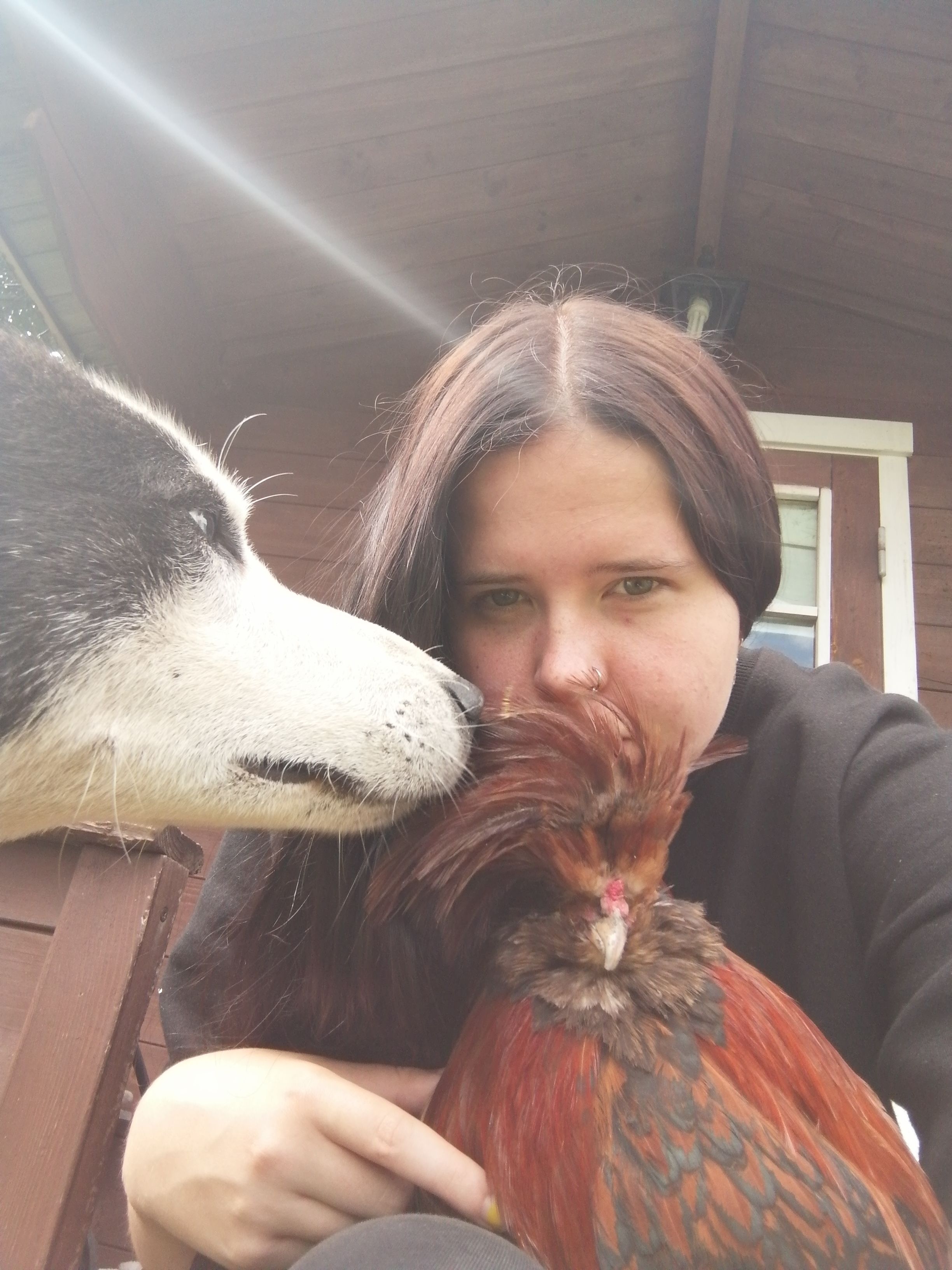 image-0